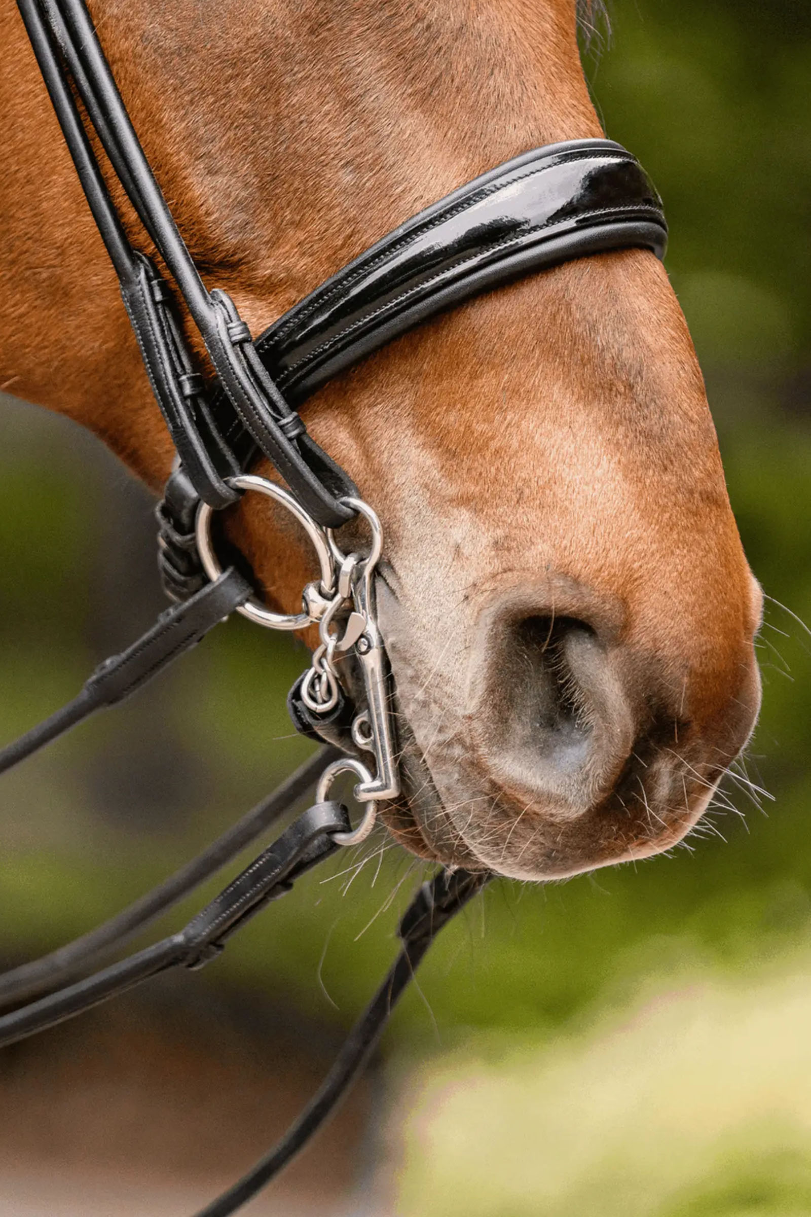 Sprenger Novocontact Weymouth 14mm Sensogan med 5cm rustfri st&aring;lsk&aelig;nkel