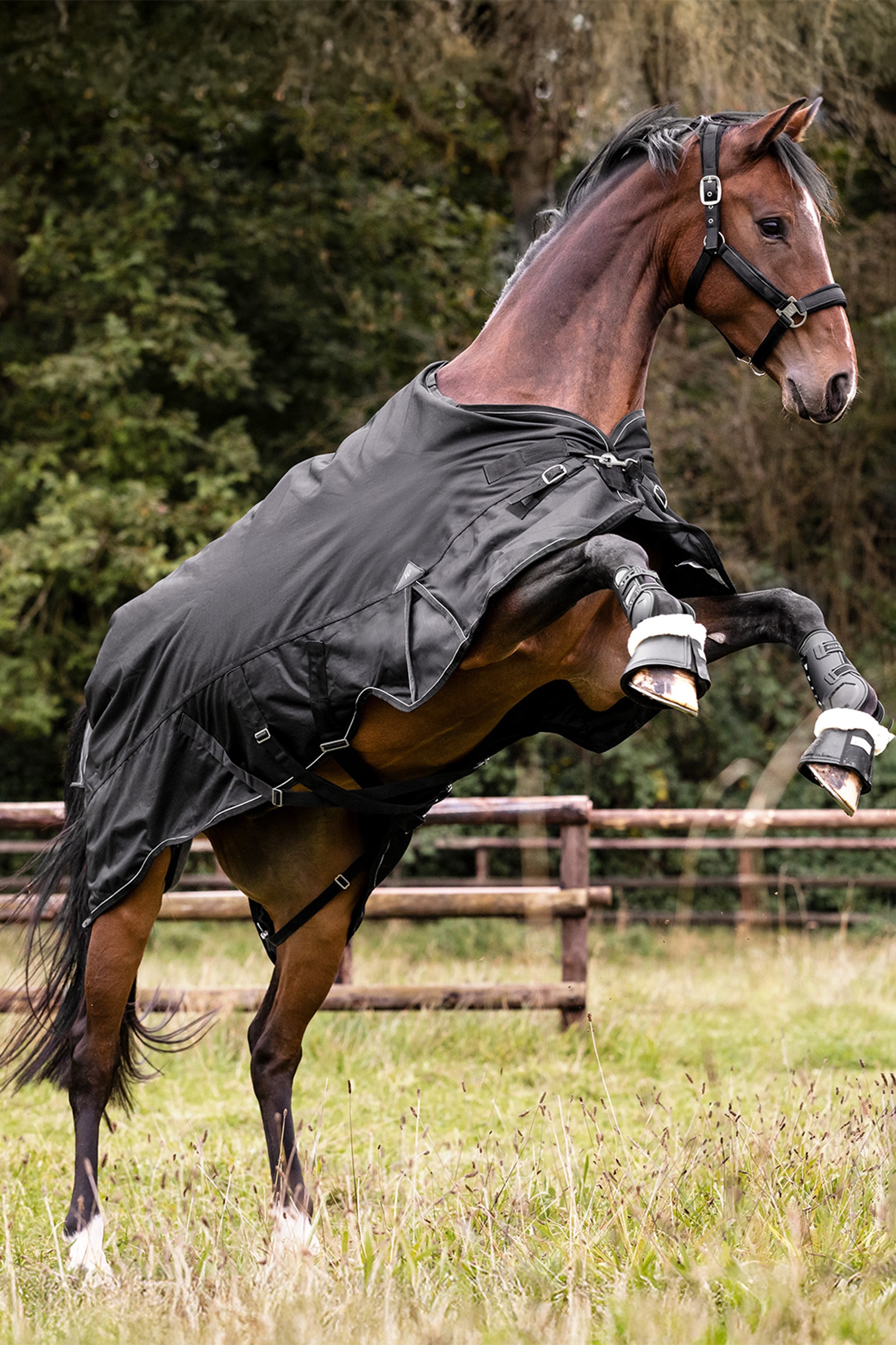 Waldhausen udend&oslash;rst&aelig;ppe Scandic flerlag 250 g/100 g