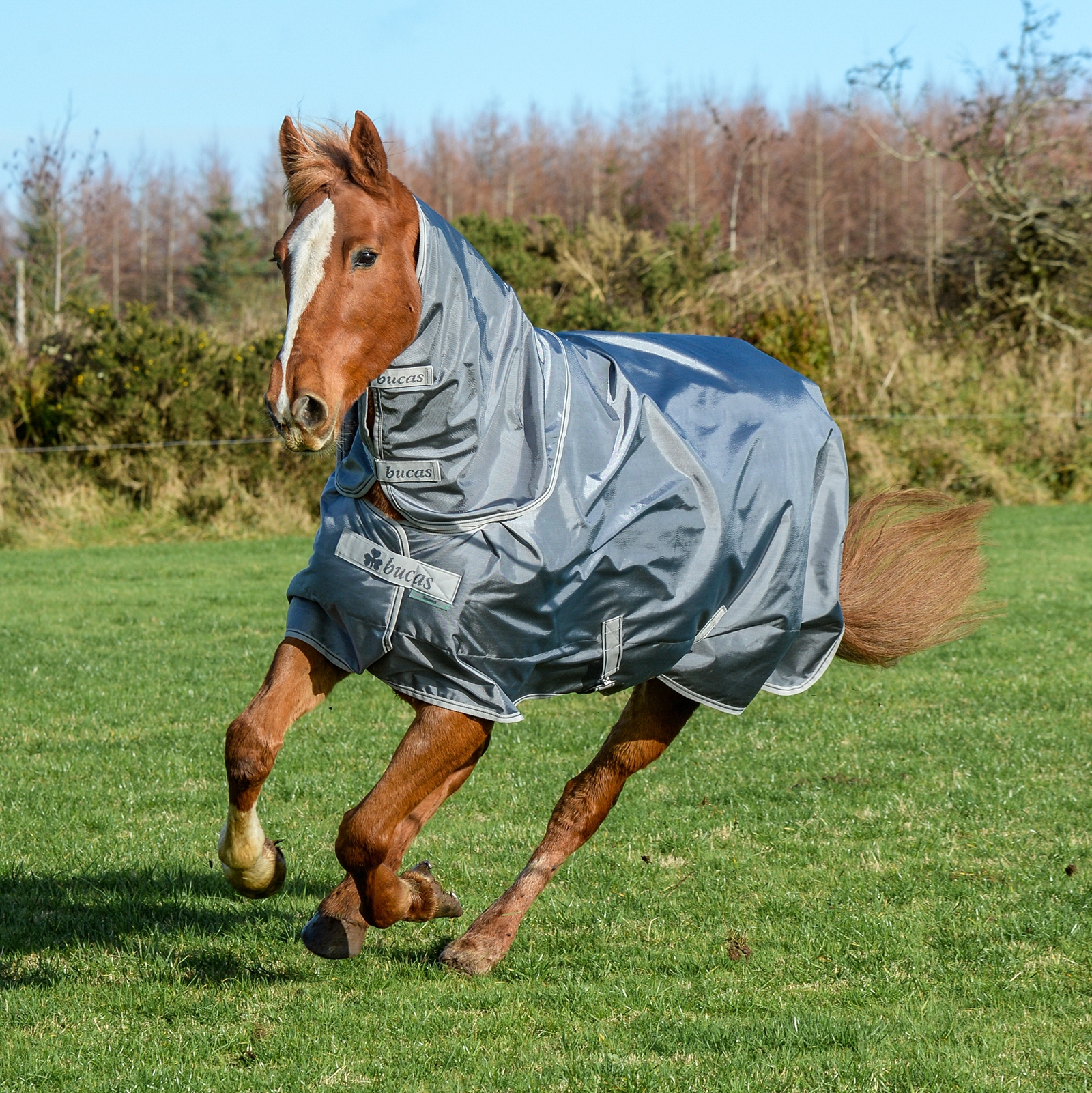 Iron Grey Bucas Smartex Combi halsstykke 300