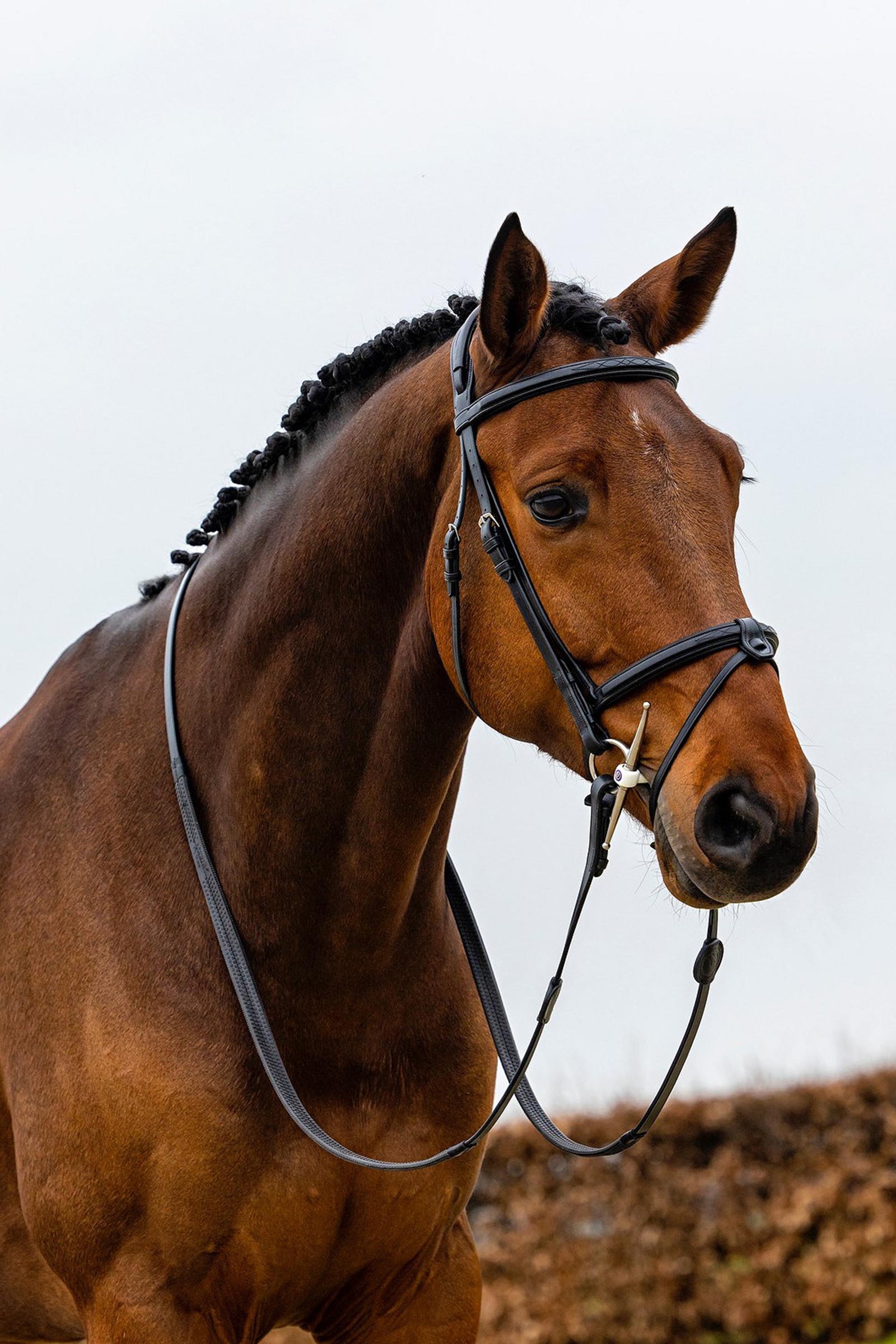 Trust Equestrian Geneva Kombineret N&aelig;seb&aring;nd Bridle