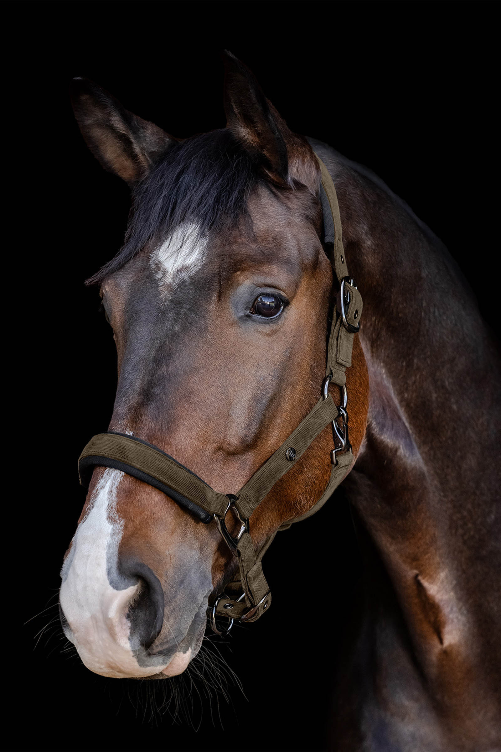 Waldhausen St. Gallen Holder 