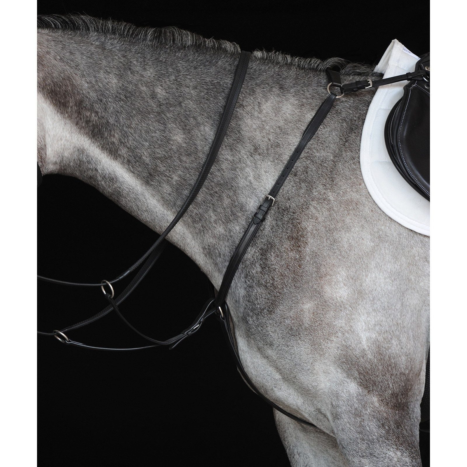 Collegiate Hunter fortøj IV.