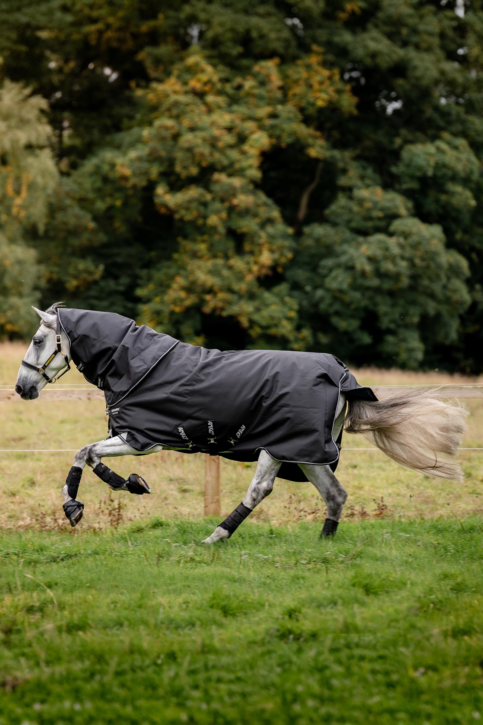 Horseware Amigo Super Bravo Plus udedækken med aftagelig halsdel, 250 g