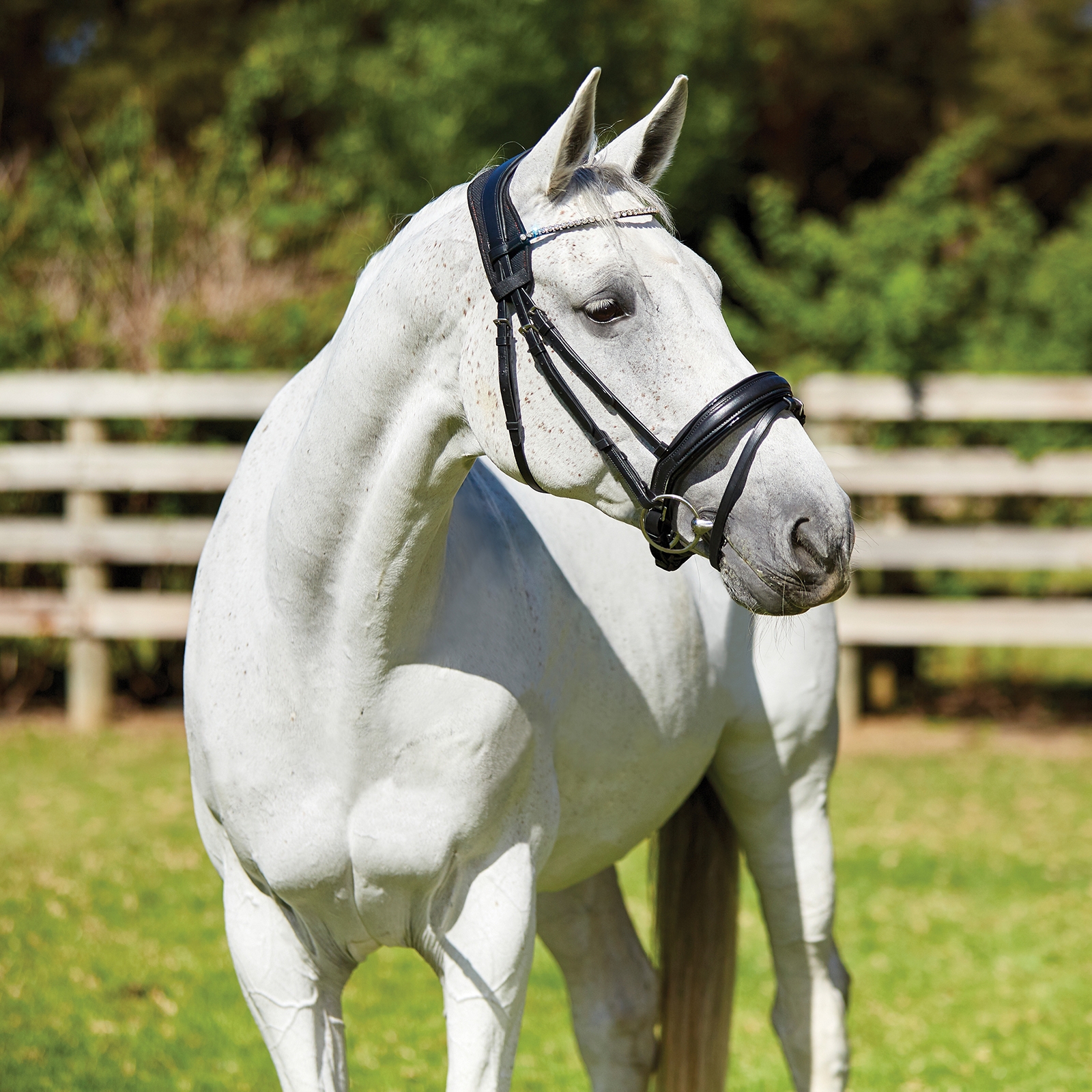 Weatherbeeta Therapy-tec Anatomisk Nakkebånds polstring