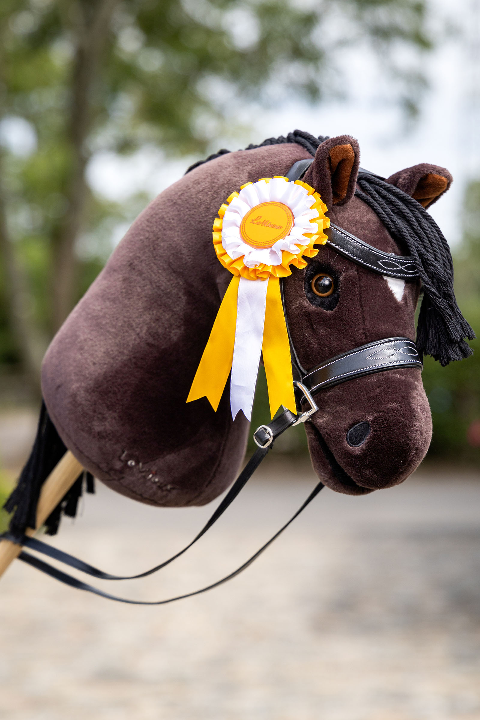 LeMieux Hobby Horse rosetpakke med flere rosetter