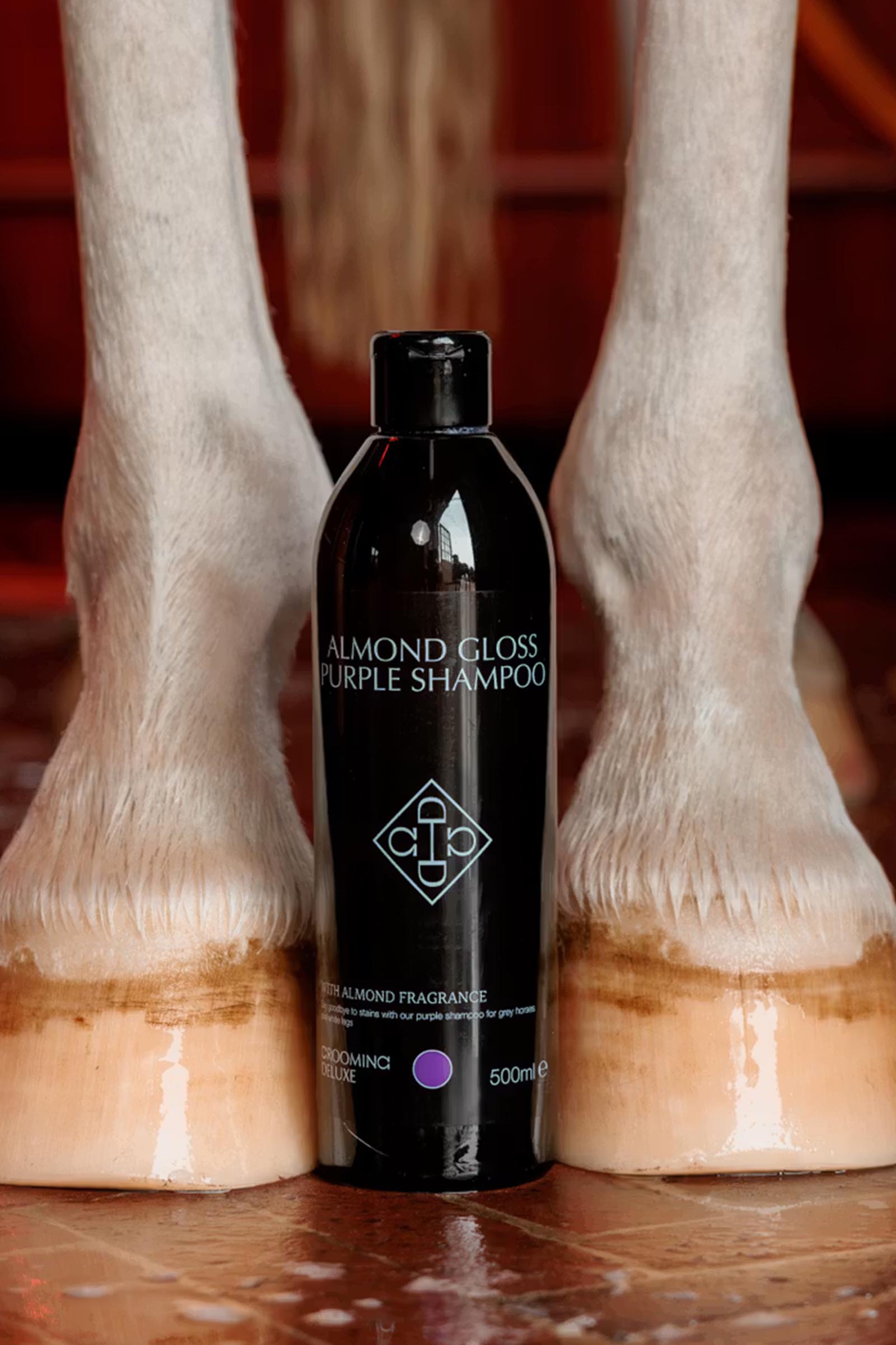 Grooming Deluxe Mandel gloss lilla shampoo, 500 ml