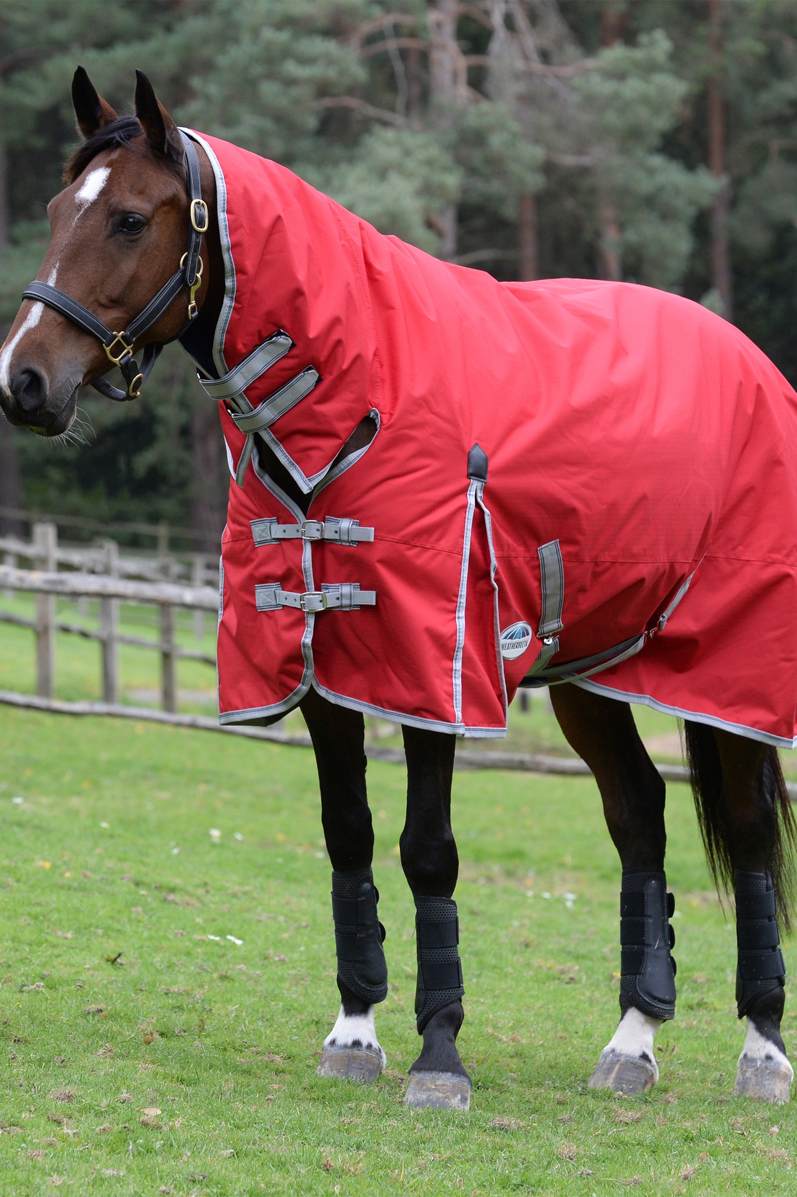 Weatherbeeta Comfitec Classic Hestedækken med integreret hals, 50g