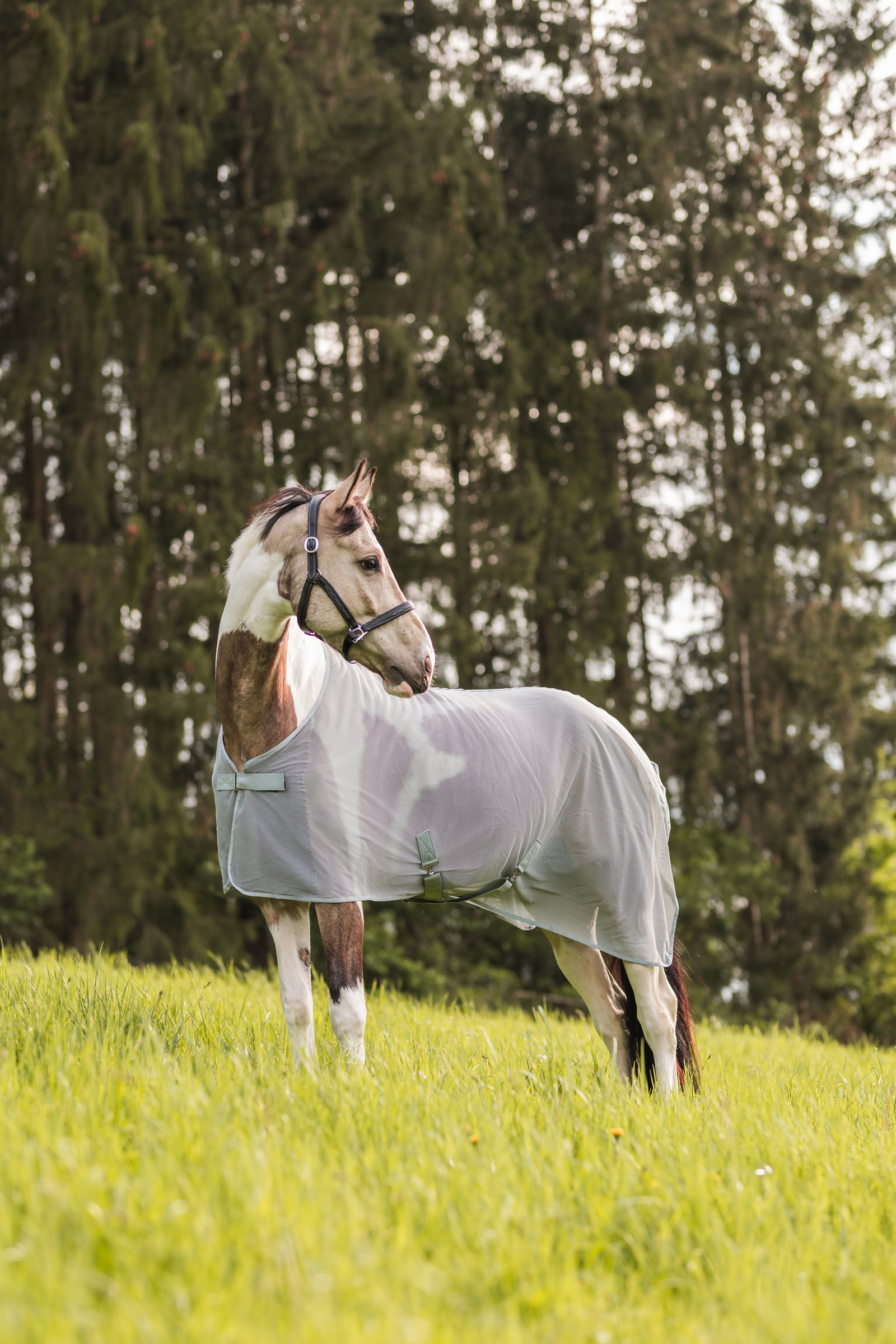 Horze Orleans insektdækken