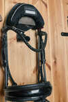 LeMieux Bridle
