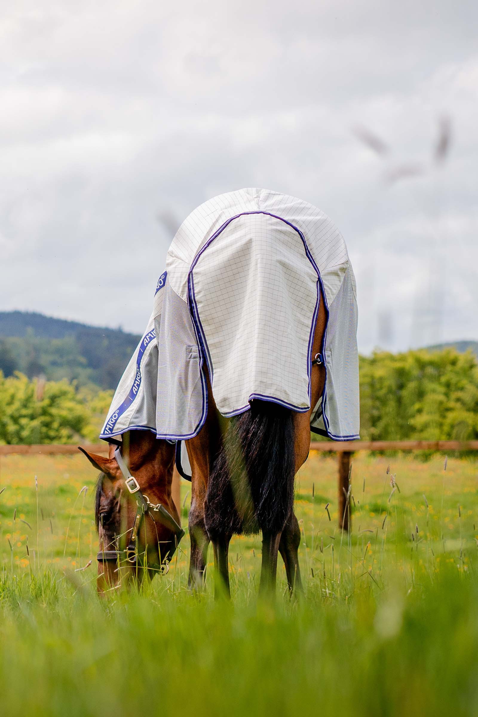 Horseware Amigo Airflow fluetæppe med aftagelig halsdel