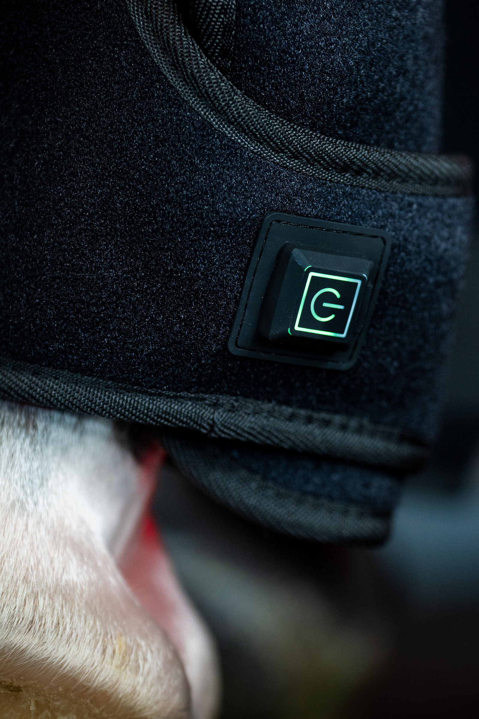 Horseware LED rødlysterapi hesteboot (1 stk.)