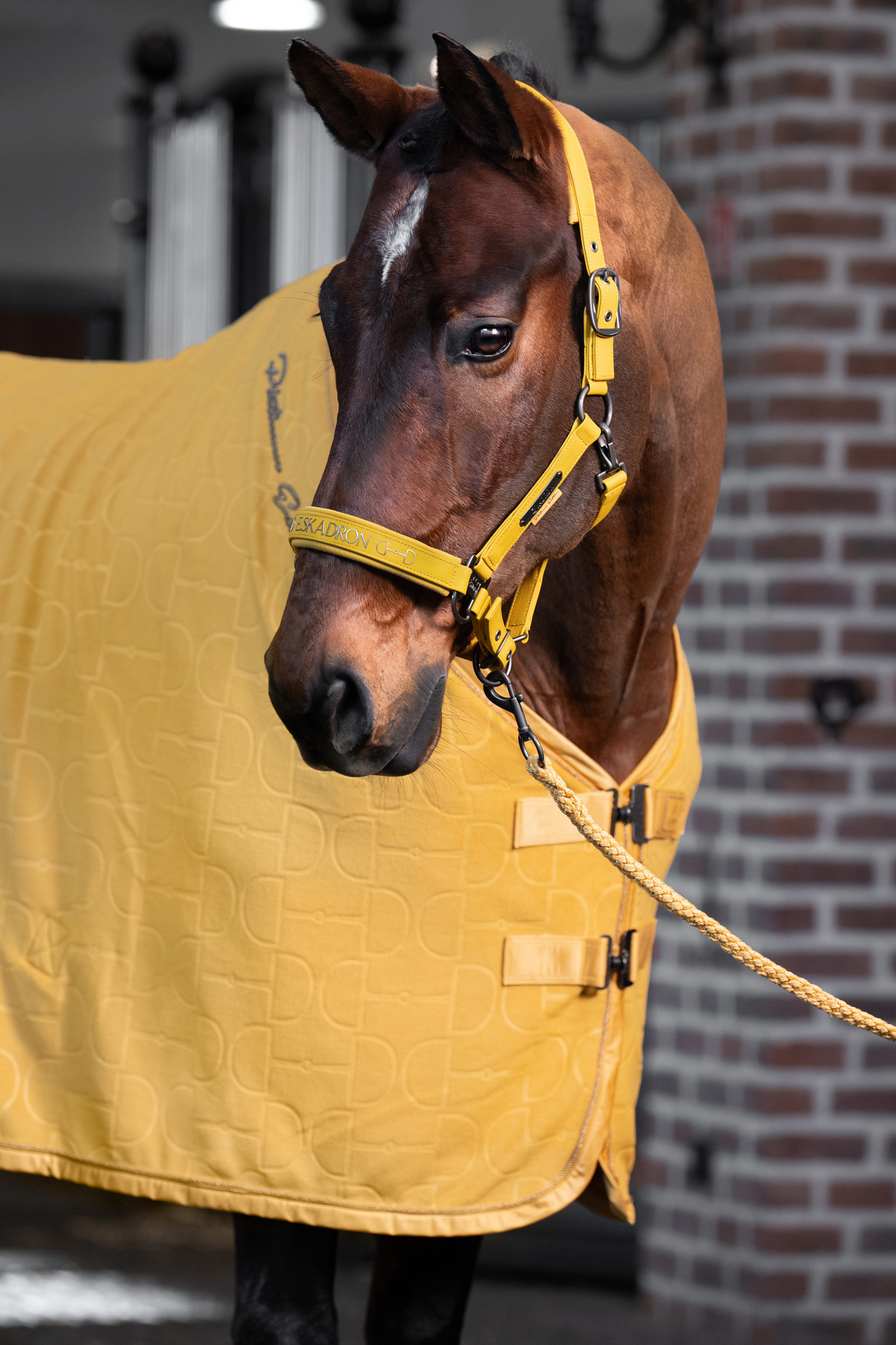 Eskadron Platinum 25 Dobbelt pin grime i kunstlæder