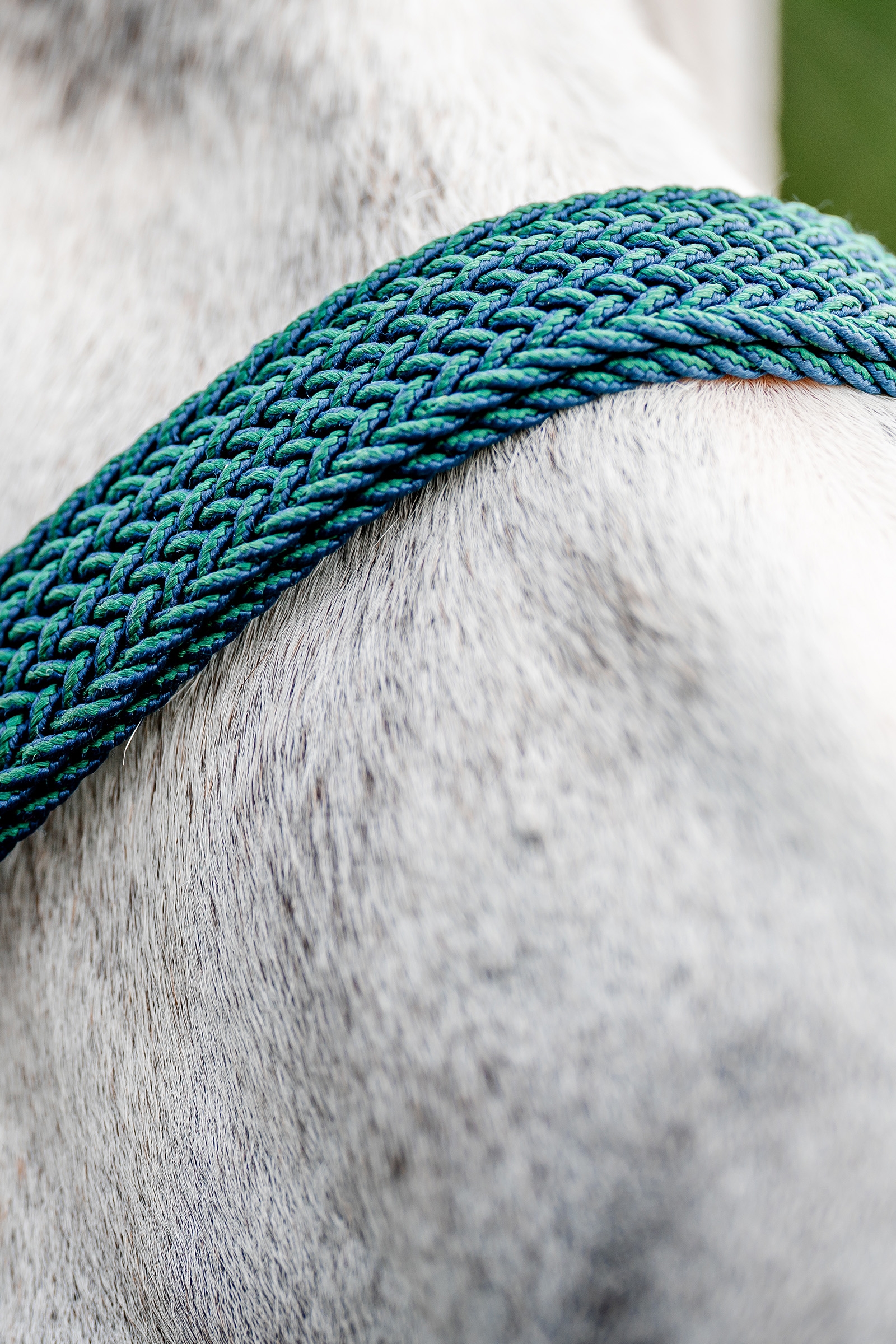 Horseware signatur flettet grime