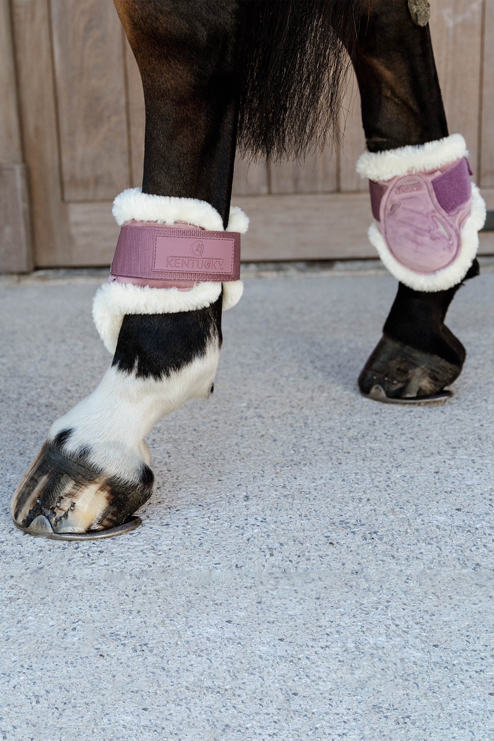 Kentucky Horsewear Vegansk fåreskind ung hest Fetlock Boots Velvet