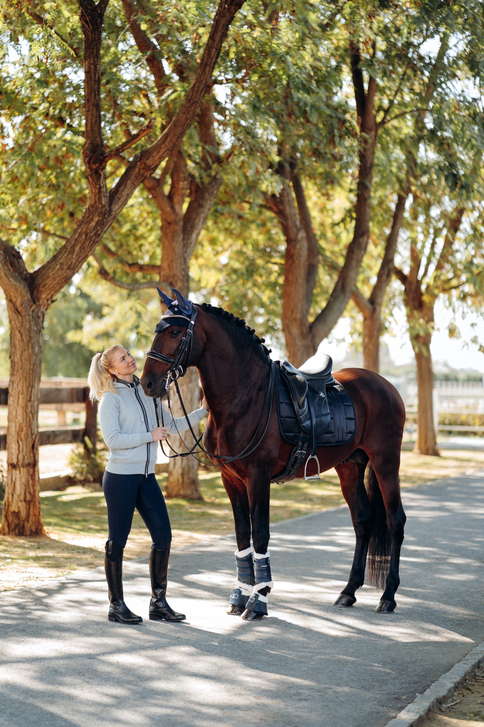 B Vertigo Drew dressurunderlag