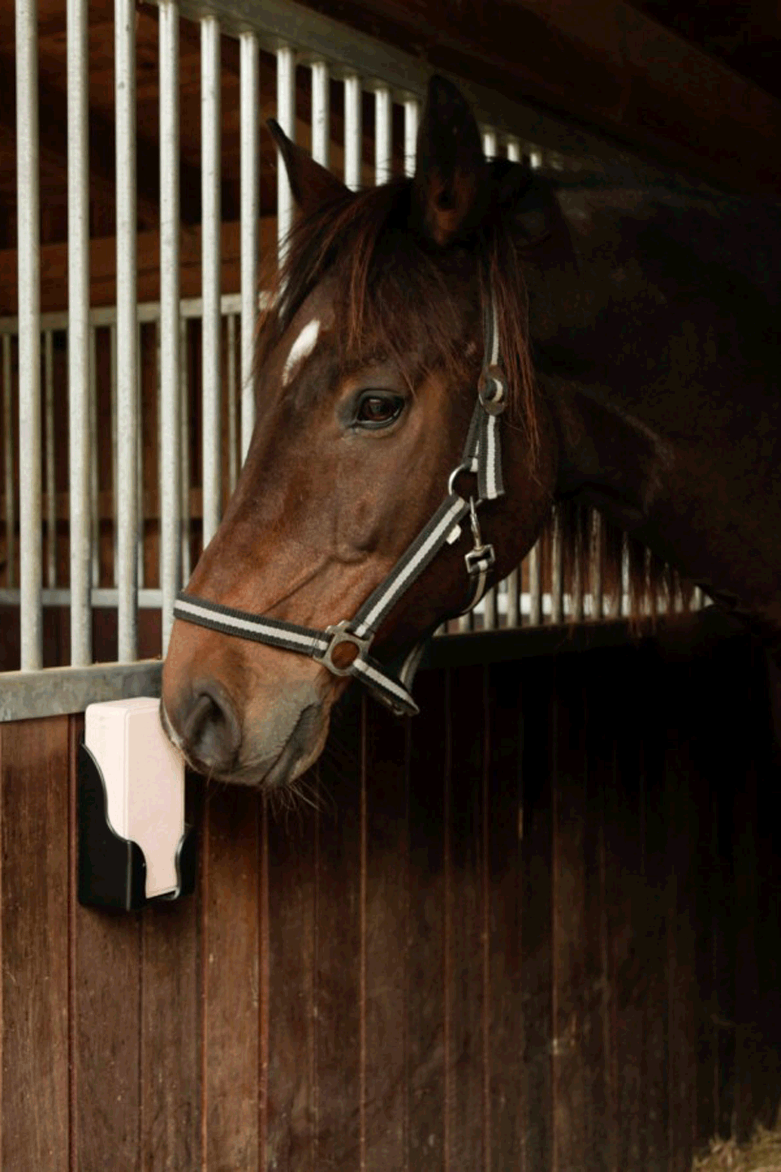 Kerbl slikholder til rektangulære sliksten
