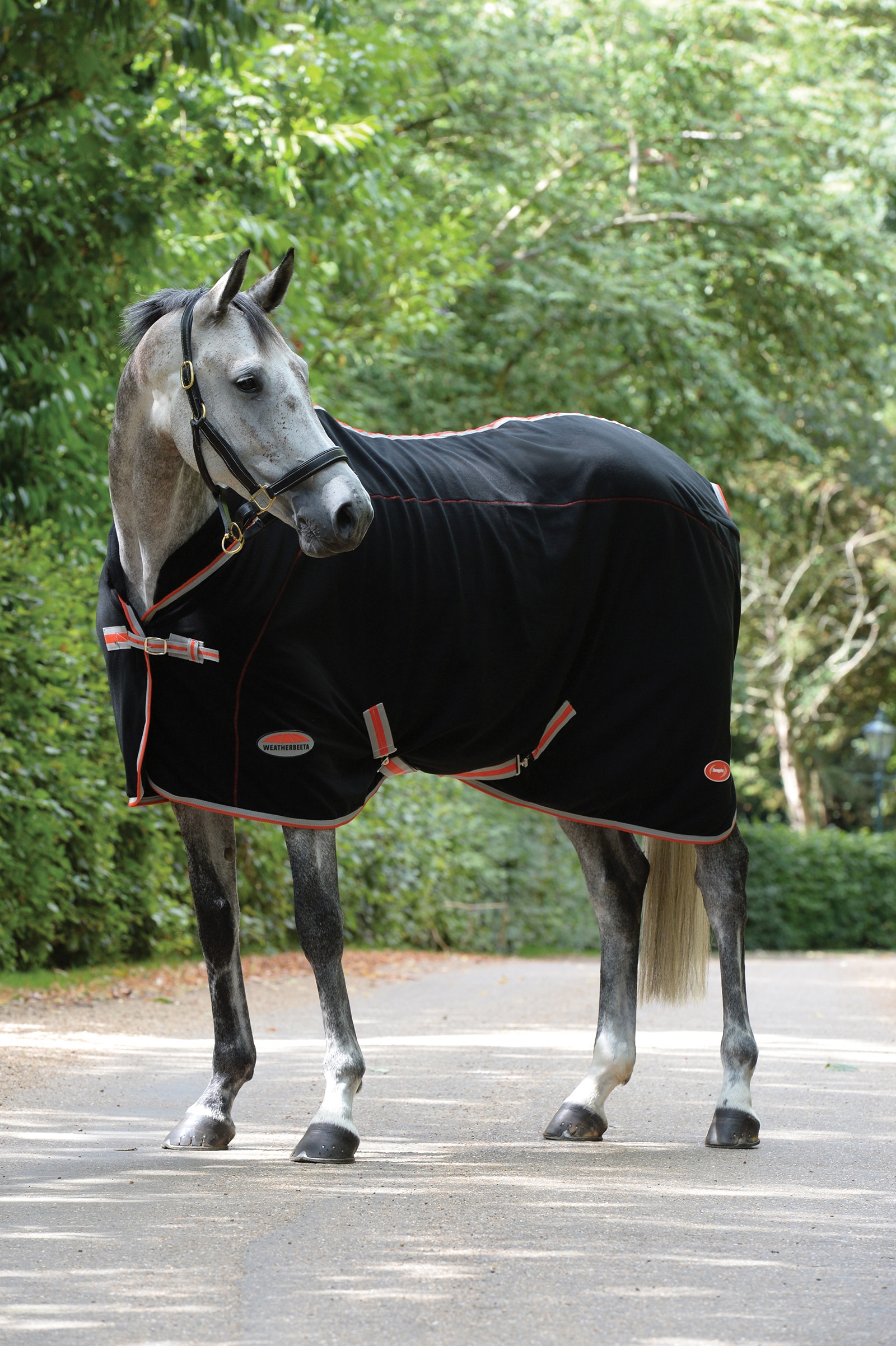 Weatherbeeta Therapy-Tec Standard Dækken