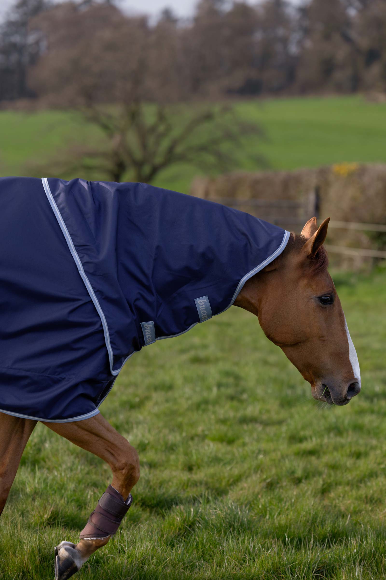 Bucas Atlantic Exclusive D&aelig;kken & Hals, 150 g