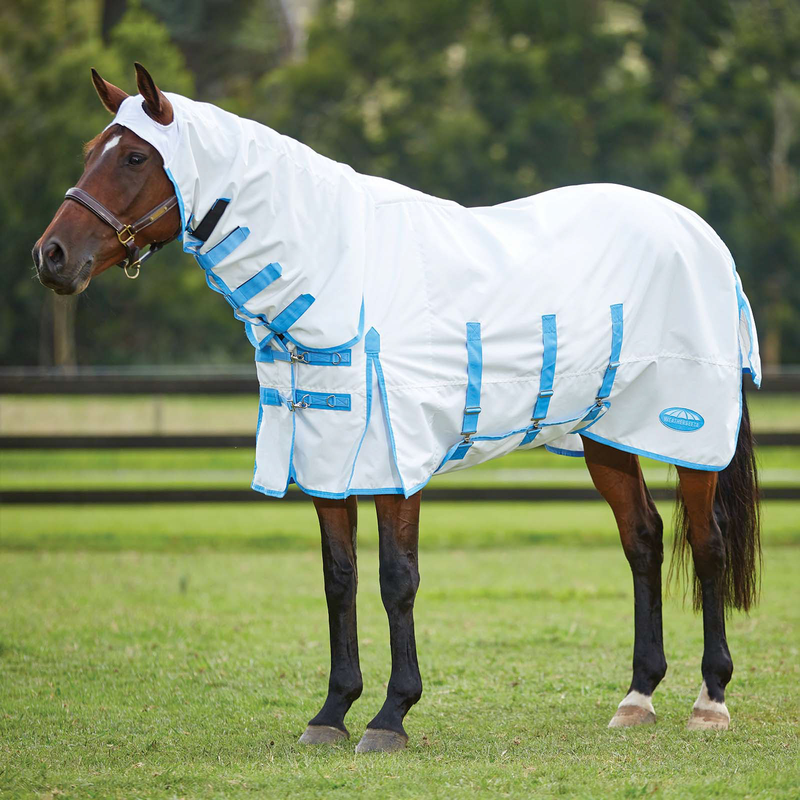 Weatherbeeta Comfitec Sødt insektdækken med fast hals