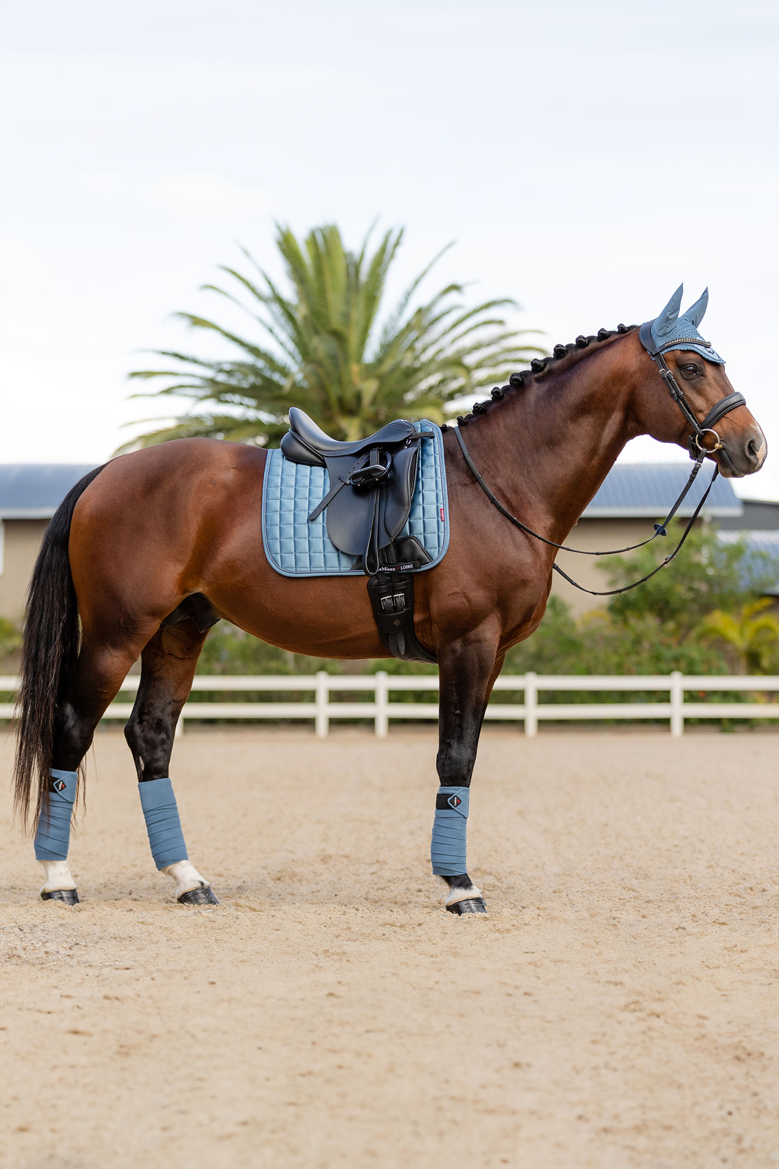 LeMieux Loire Memory Dressurunderlag