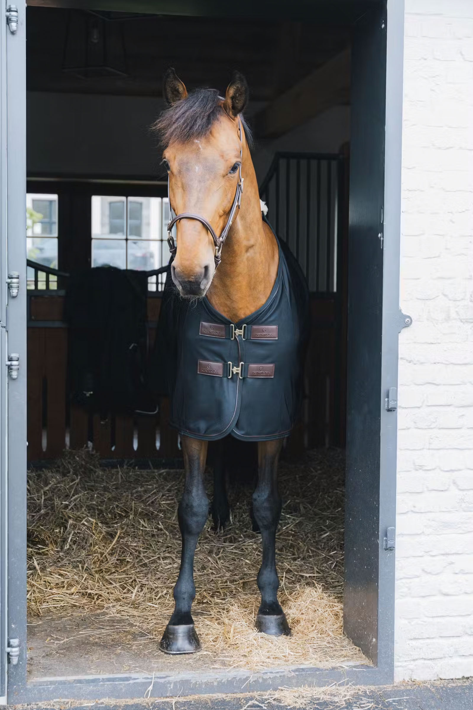 Kentucky Horsewear fluedækken i net