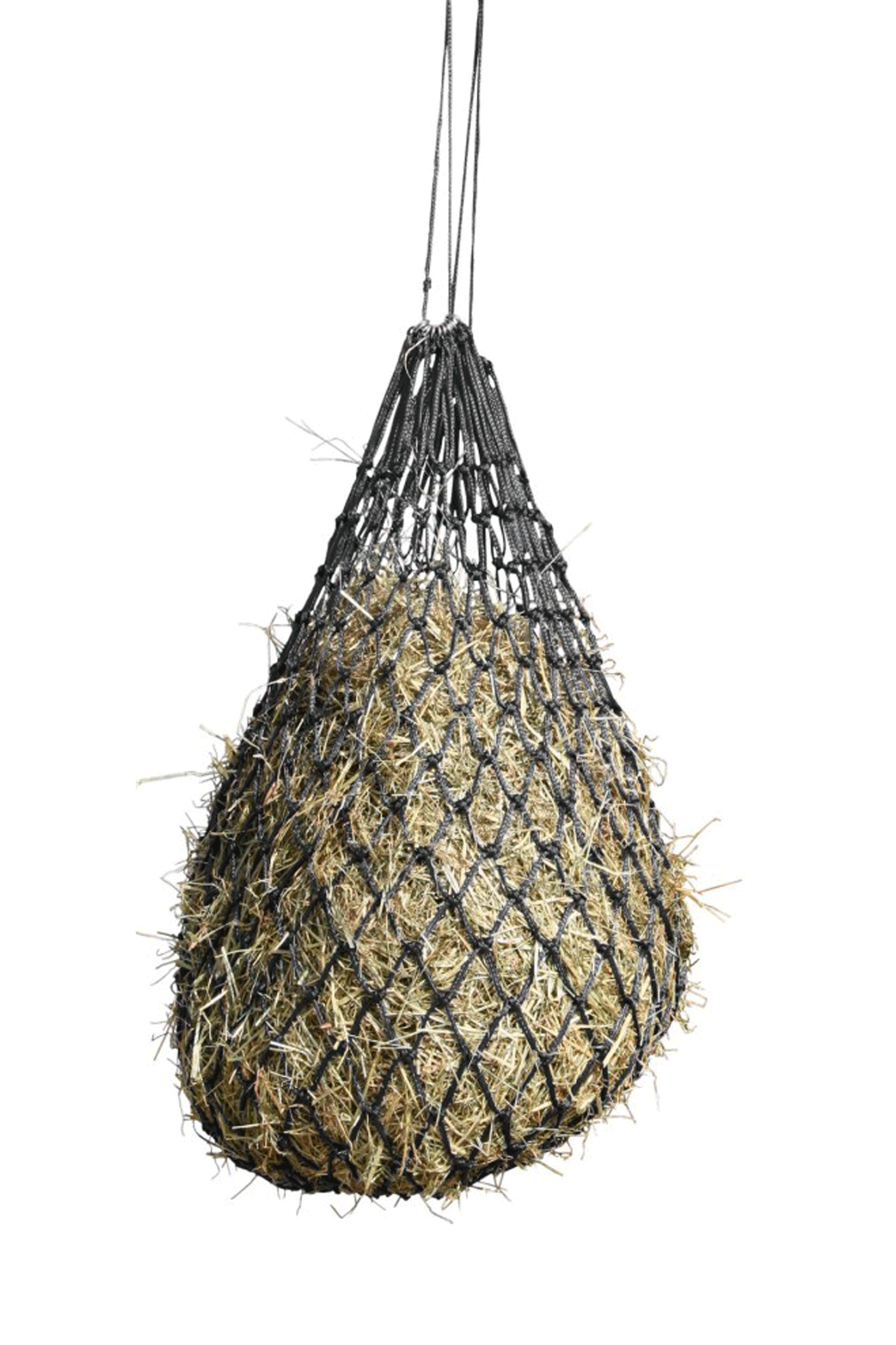 Black Kerbl hønet med tæt mesh