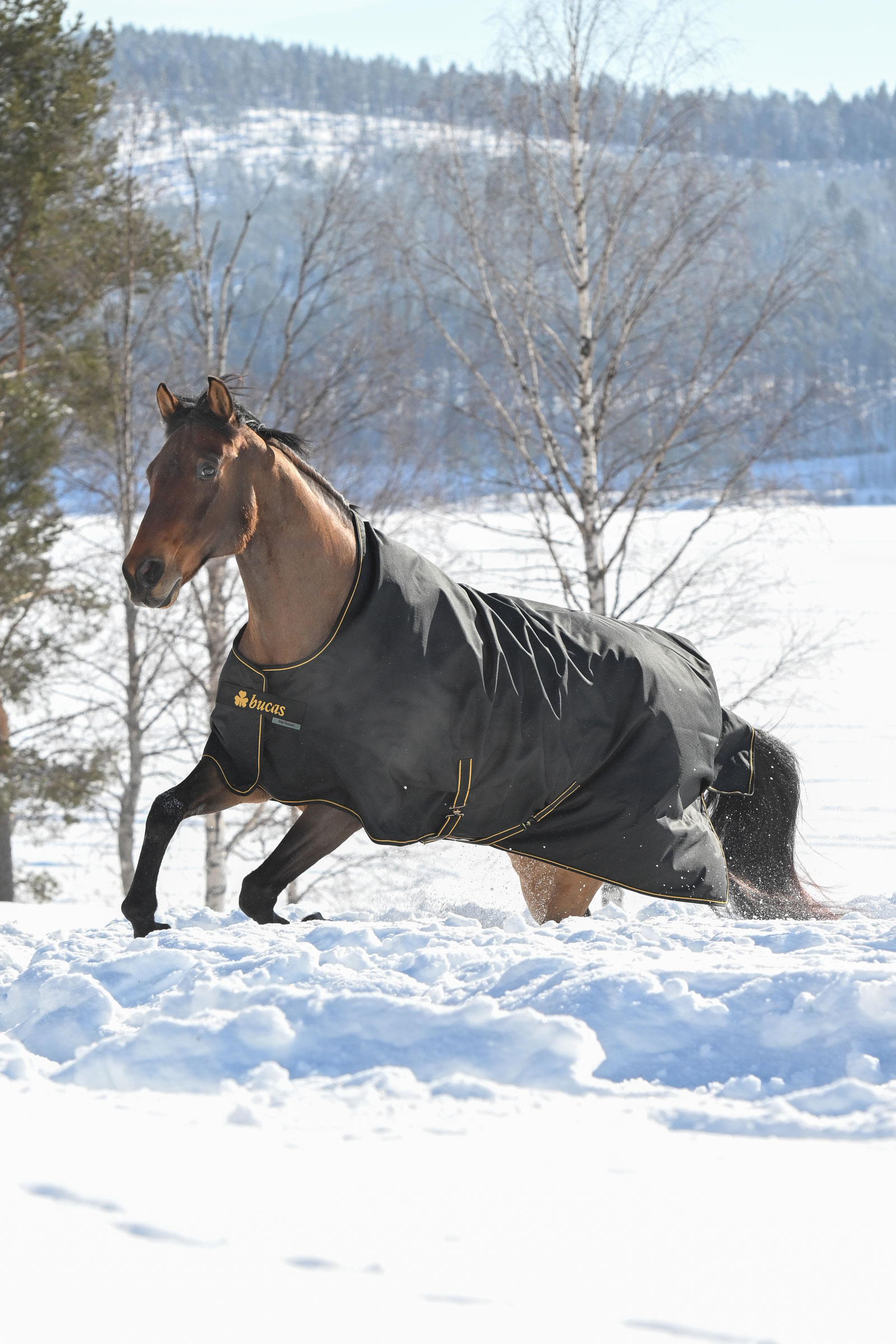 Bucas Irish uded&aelig;kken, 300g