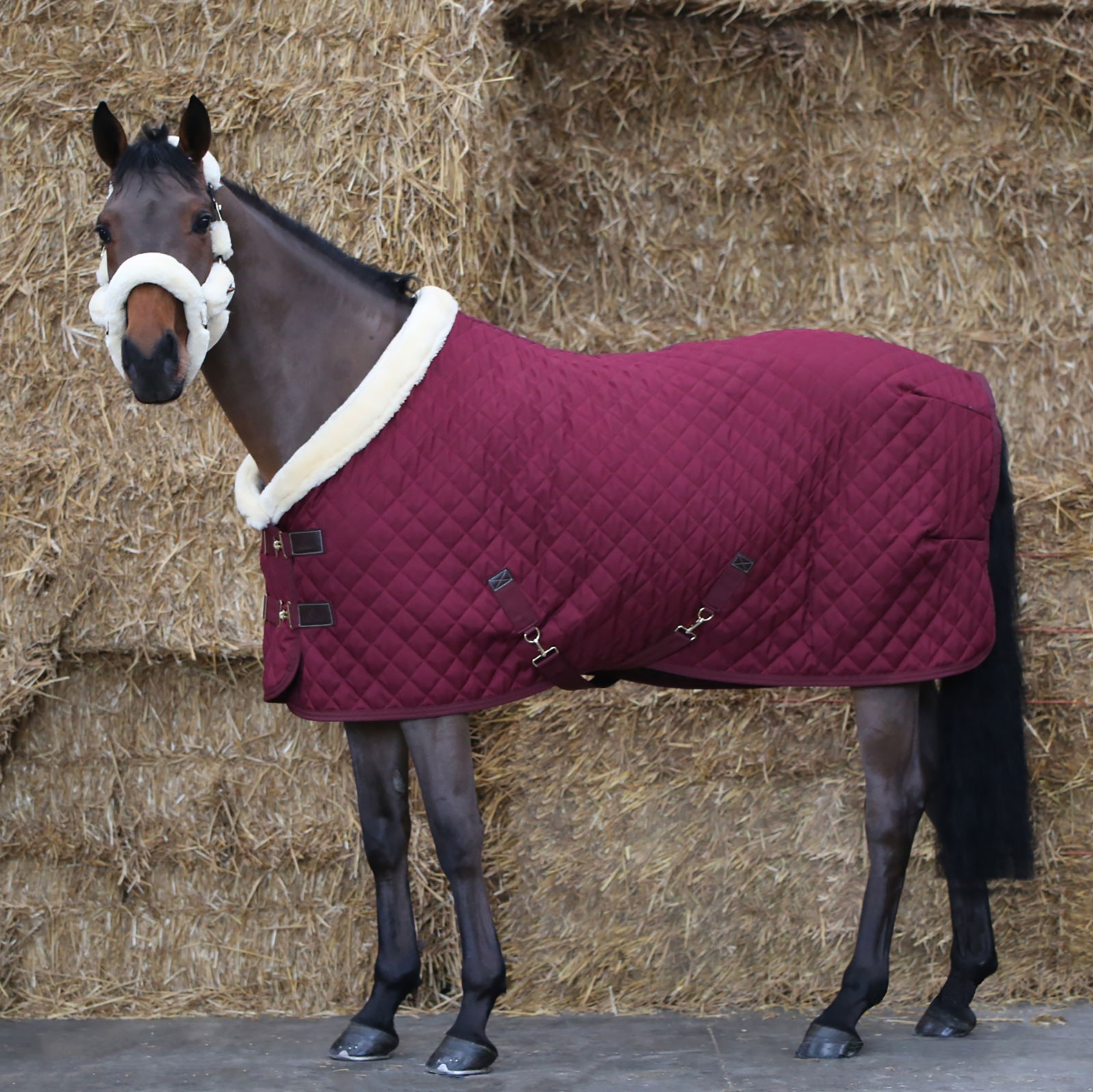 Dark Red Kentucky Horsewear stævnedækken, 160 g.