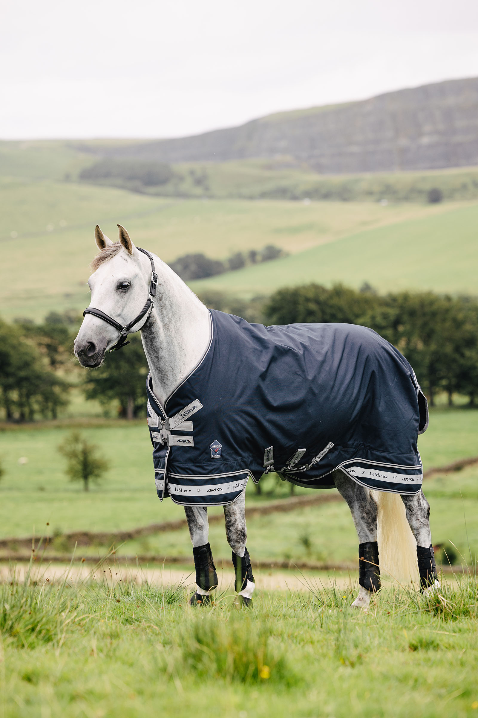 LeMieux Arika Storm-Tek dækken 50g