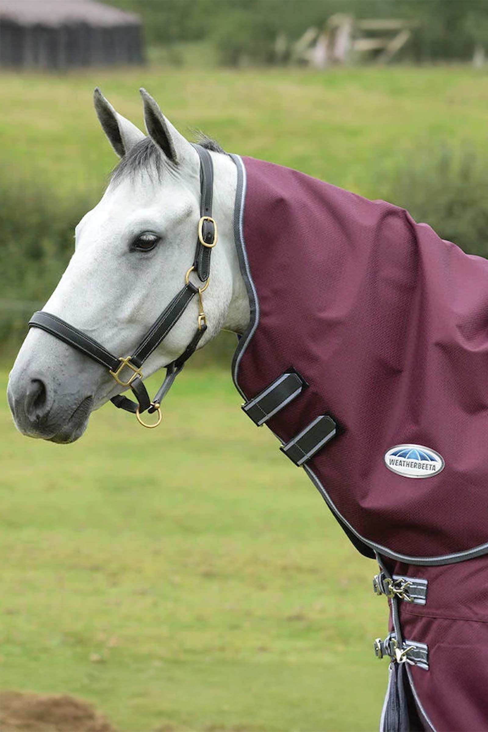 Weatherbeeta Comfitec Plus Dynamic II Neck Lite, 0g