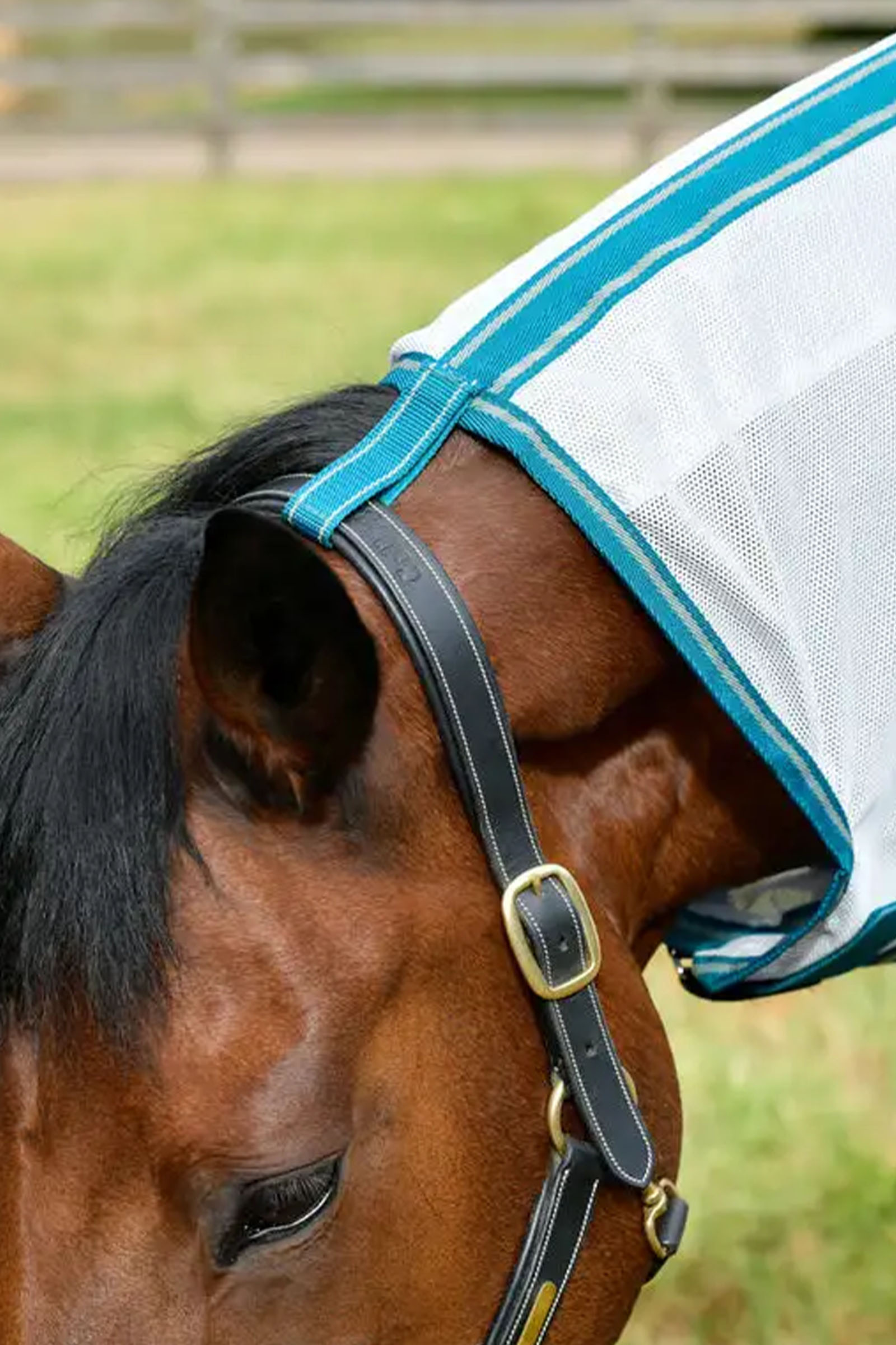 Weatherbeeta Comfitec Zephyr Plus Mesh Combo Flyvedækken