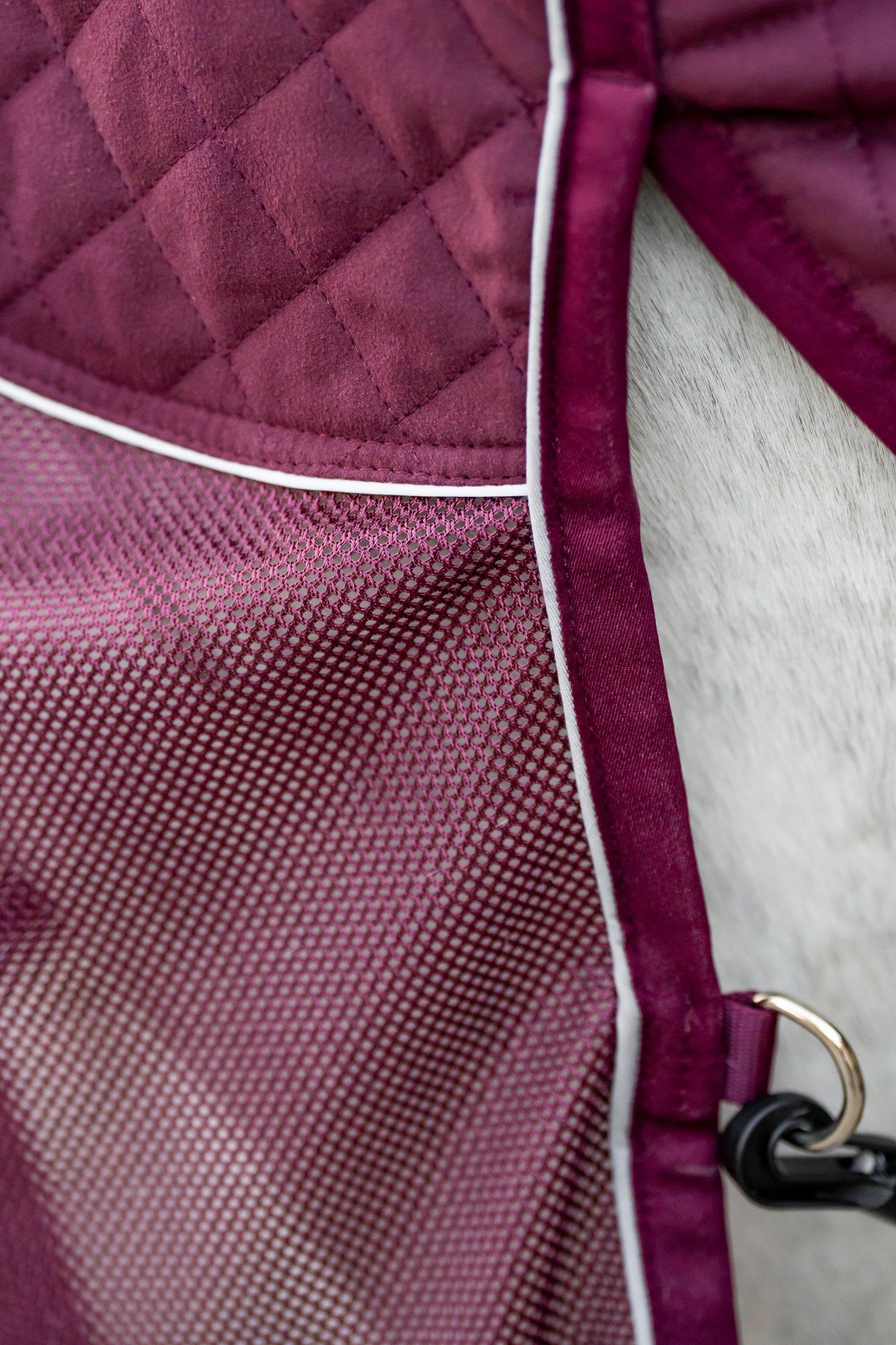 Horseware Signature rejse cooler