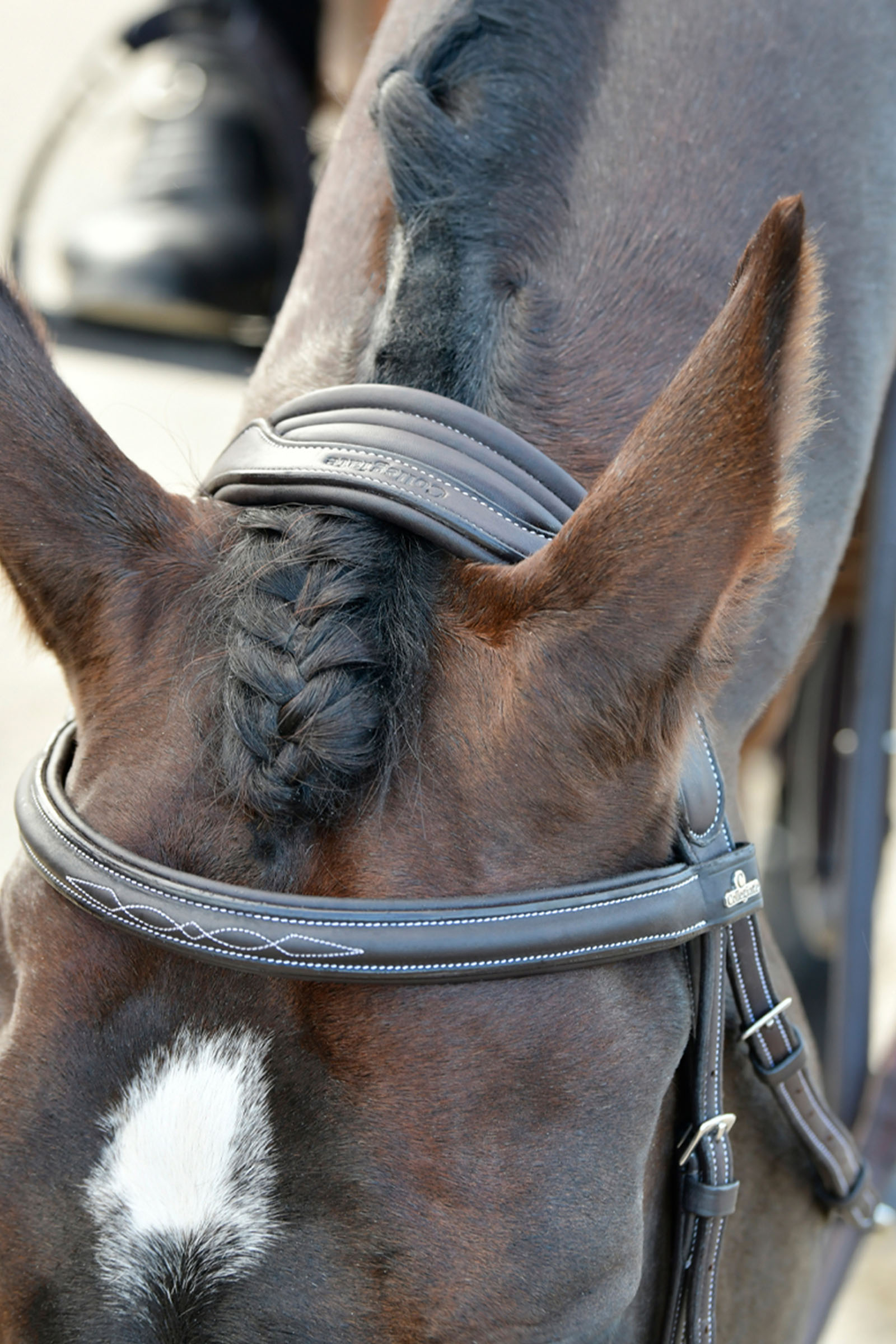 Collegiate Comfitec Opulux Fancy Stitch polstret hannoveransk trense