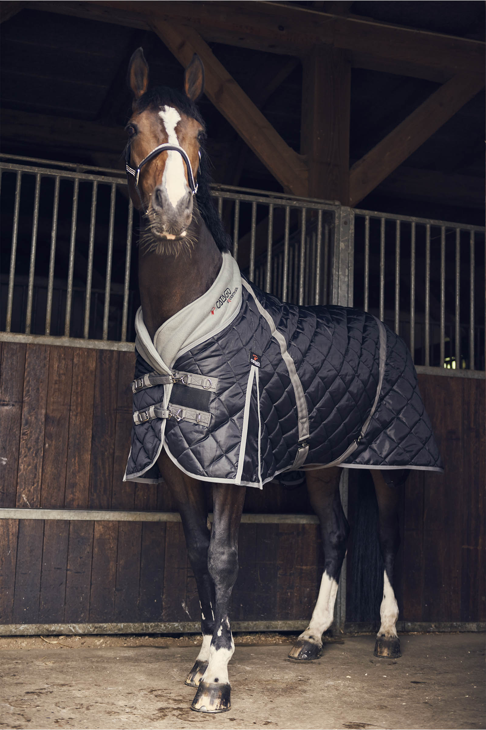 CATAGO Stable Rug, 100 g