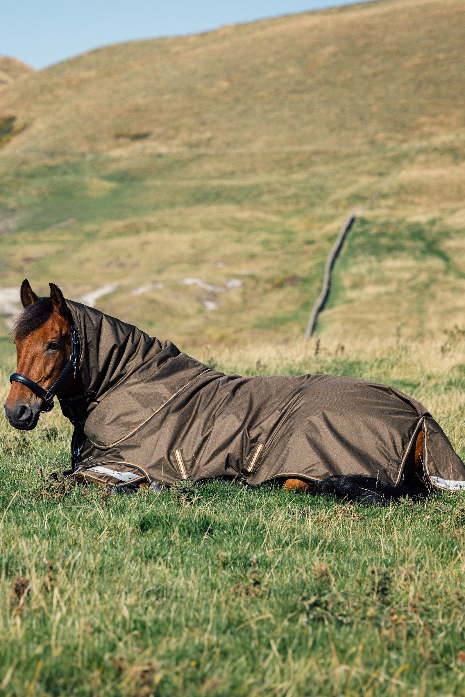 LeMieux Arika Ripstop Turnout Rug With Detachable Neck, 100 g