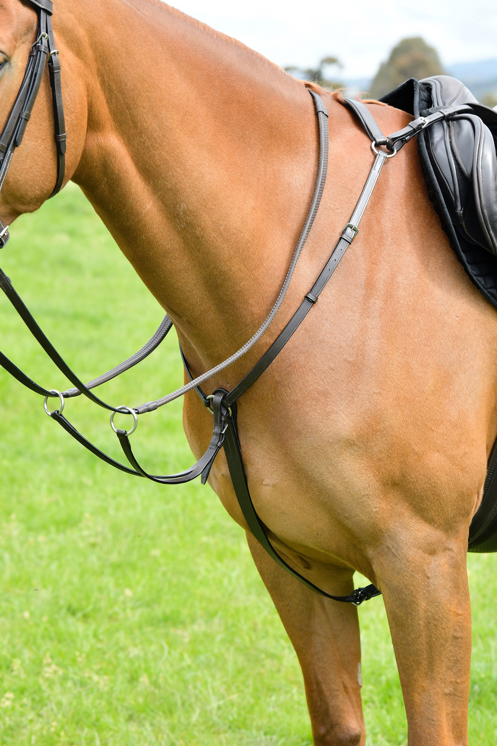 Brown Kincade Classic tř&iacute;bodov&yacute; předn&iacute; popruh s běž&iacute;c&iacute;m martingalem