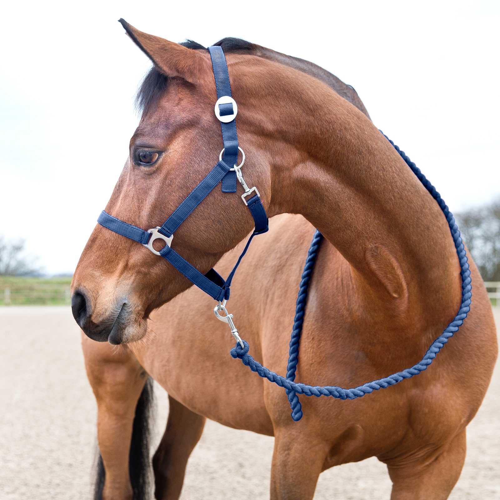 Peacoat Dark Blue Horze Basic træktov.