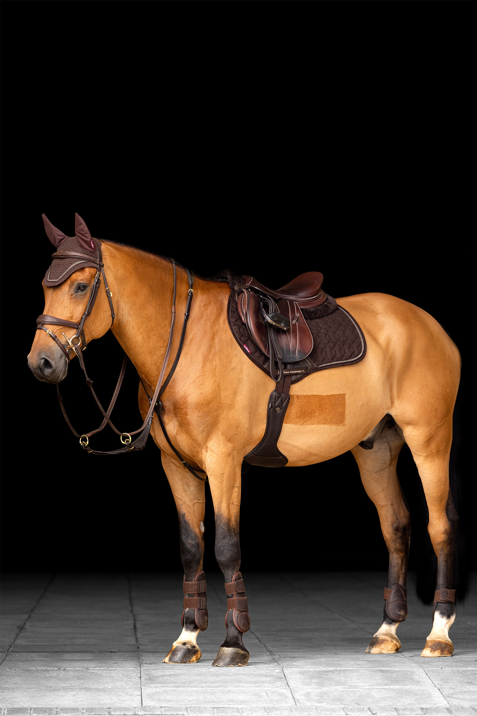 LeMieux Crystal Close Contact Springunderlag