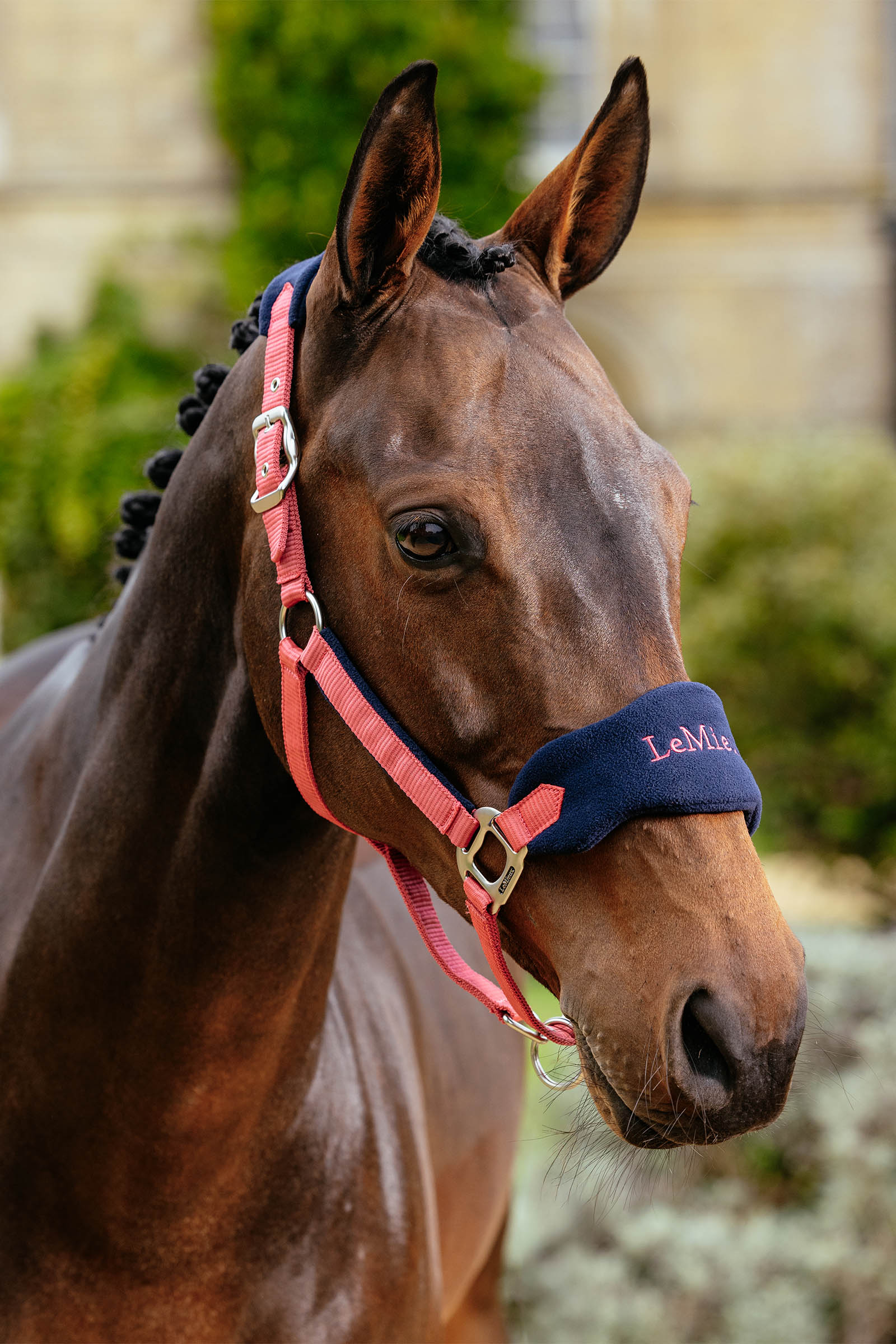 LeMieux Vogue grime & tr&aelig;ktov set