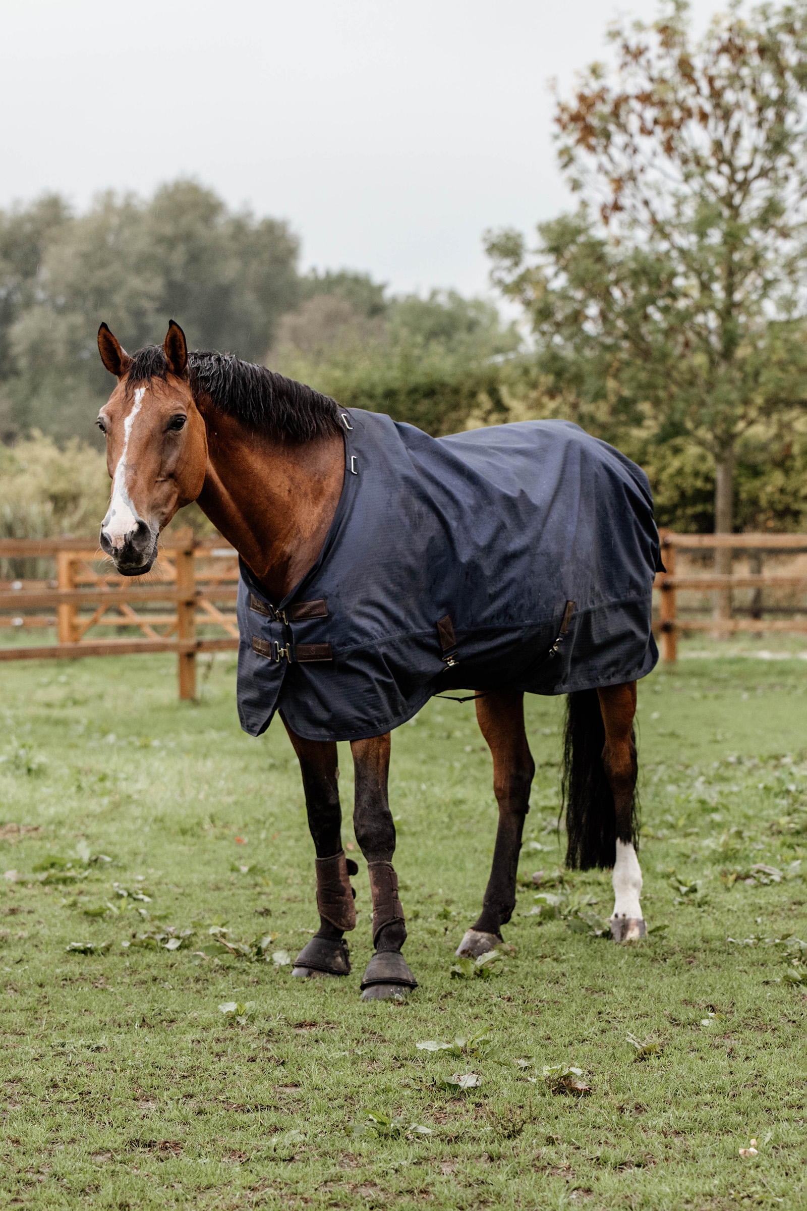 Kentucky Horsewear All Weather Udedækken, 300g