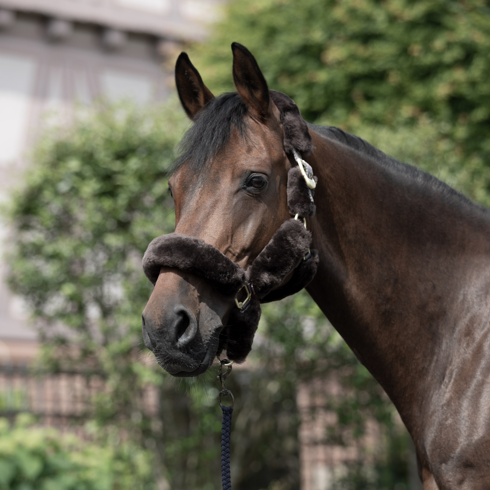 B Vertigo Tremblant grime med lammeskind
