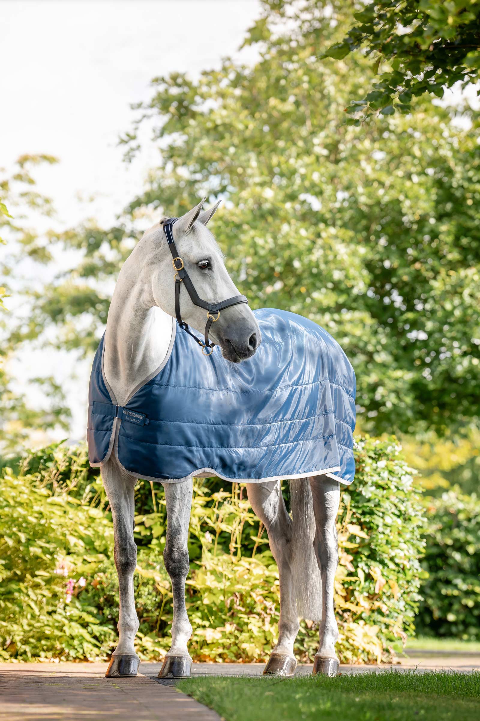 Horseware Ionic Therapy Foring 50g