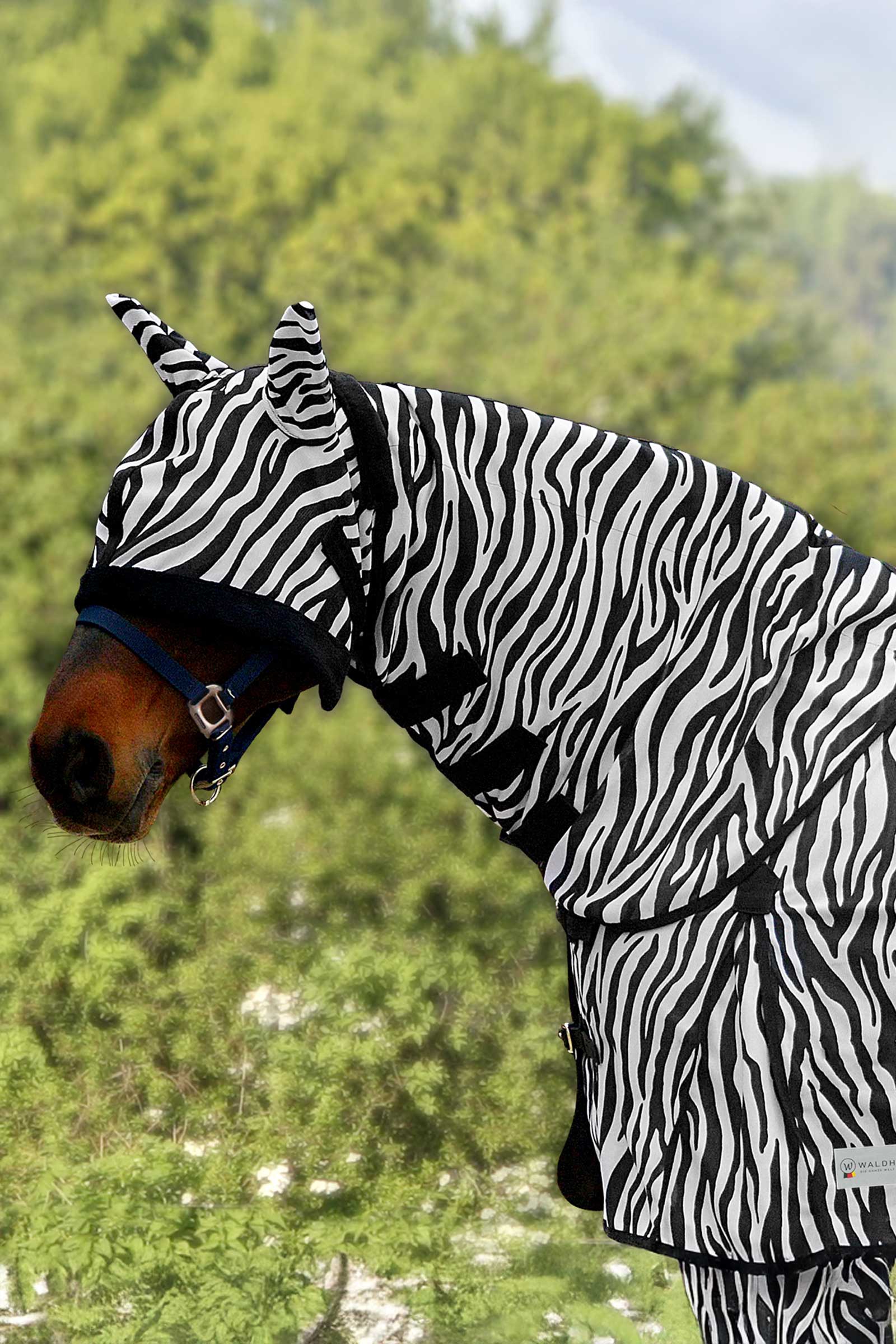 Waldhausen Zebra fluenakstykke