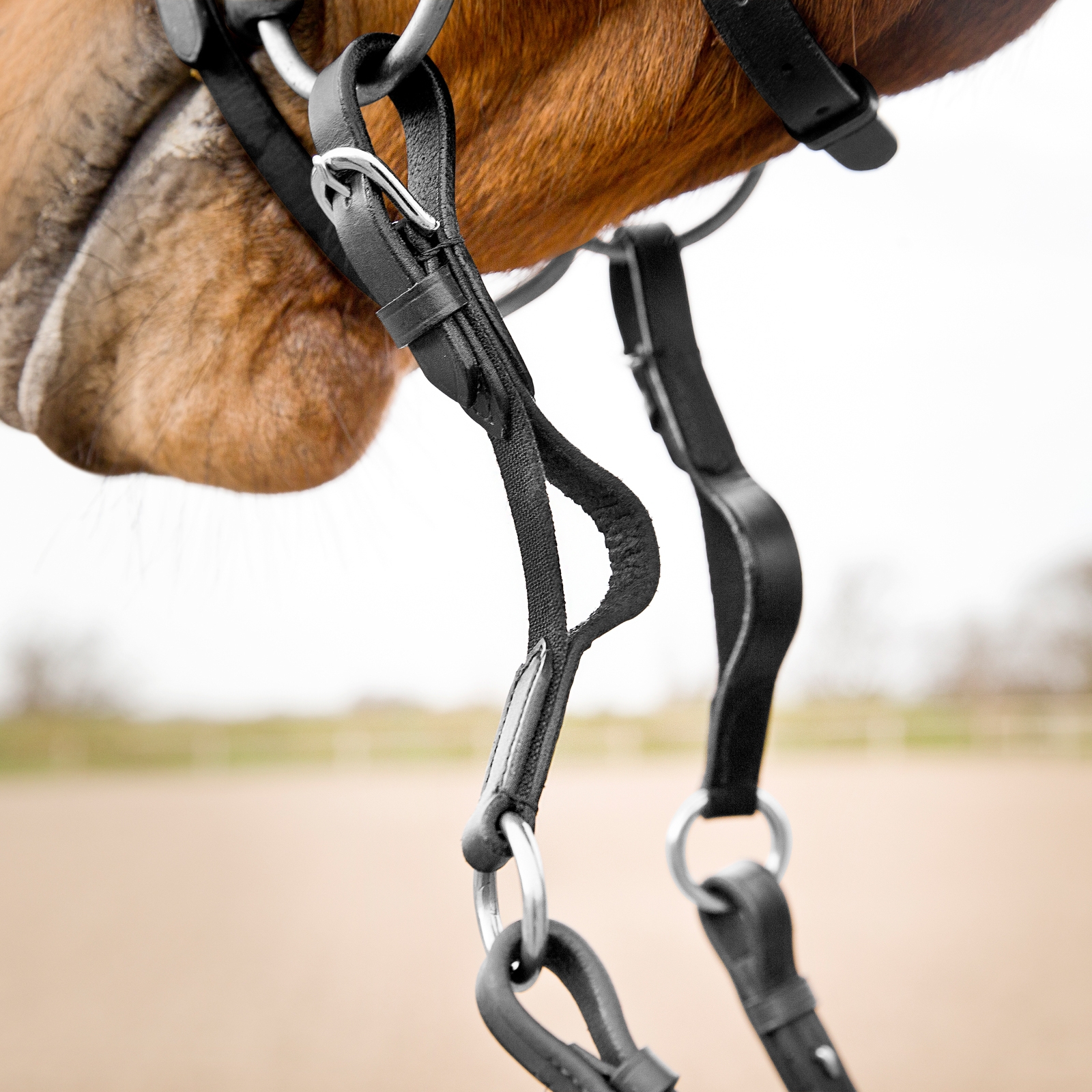 Horze t&oslash;jlestykke, bl&oslash;d