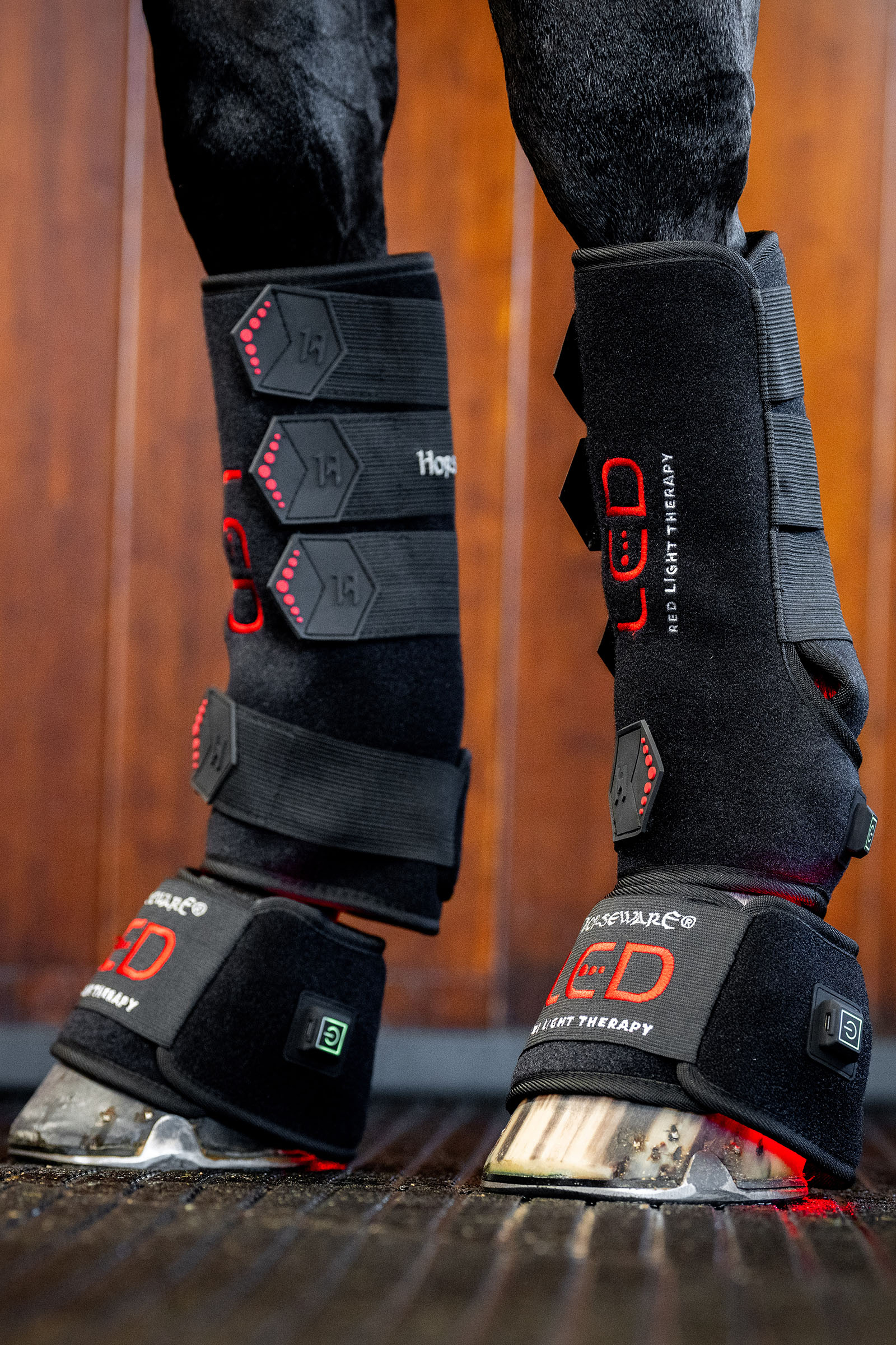 Horseware LED rødlysterapi hesteboot (1 stk.)