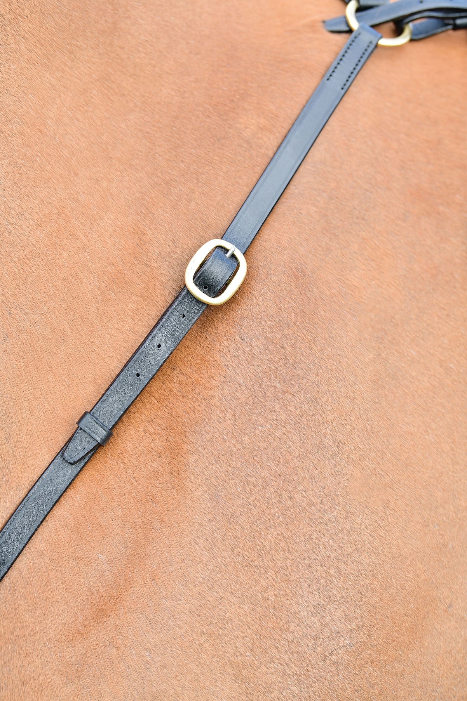 Kincade Classic tříbodový přední popruh s běžícím martingalem