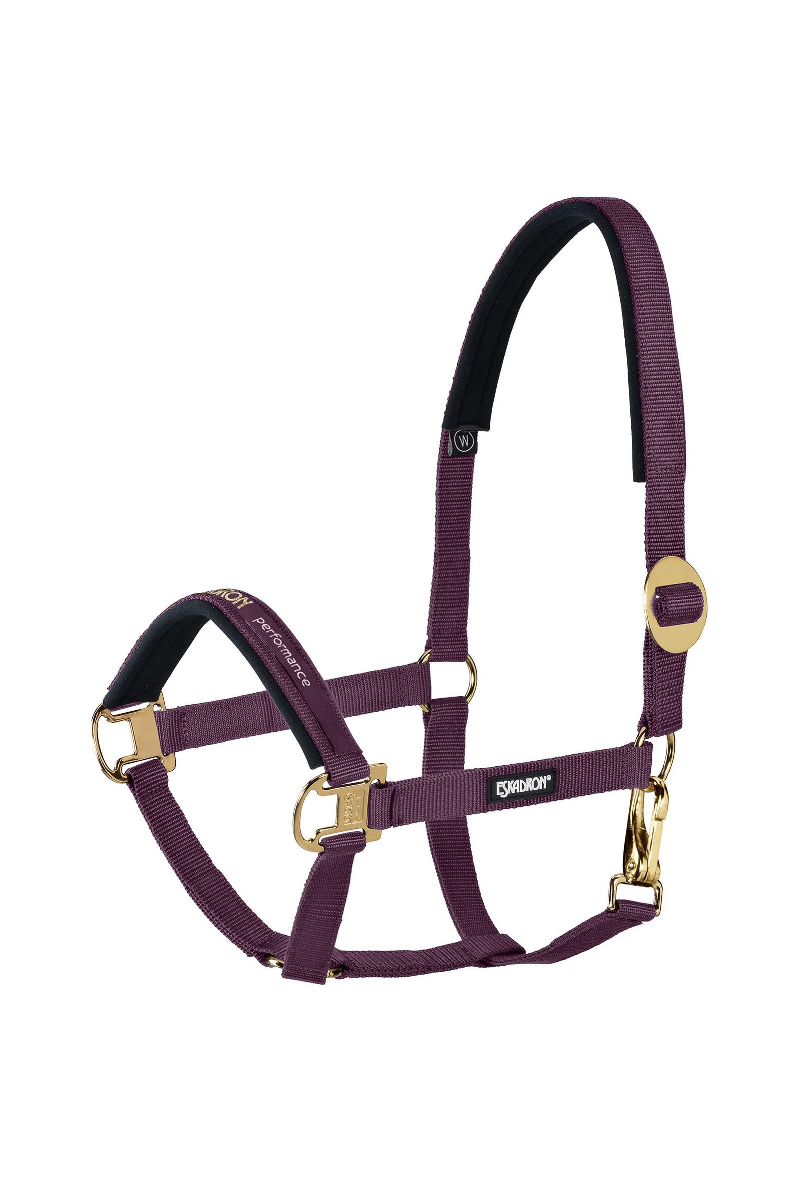 Blackberry Eskadron Halter sliding Buckle