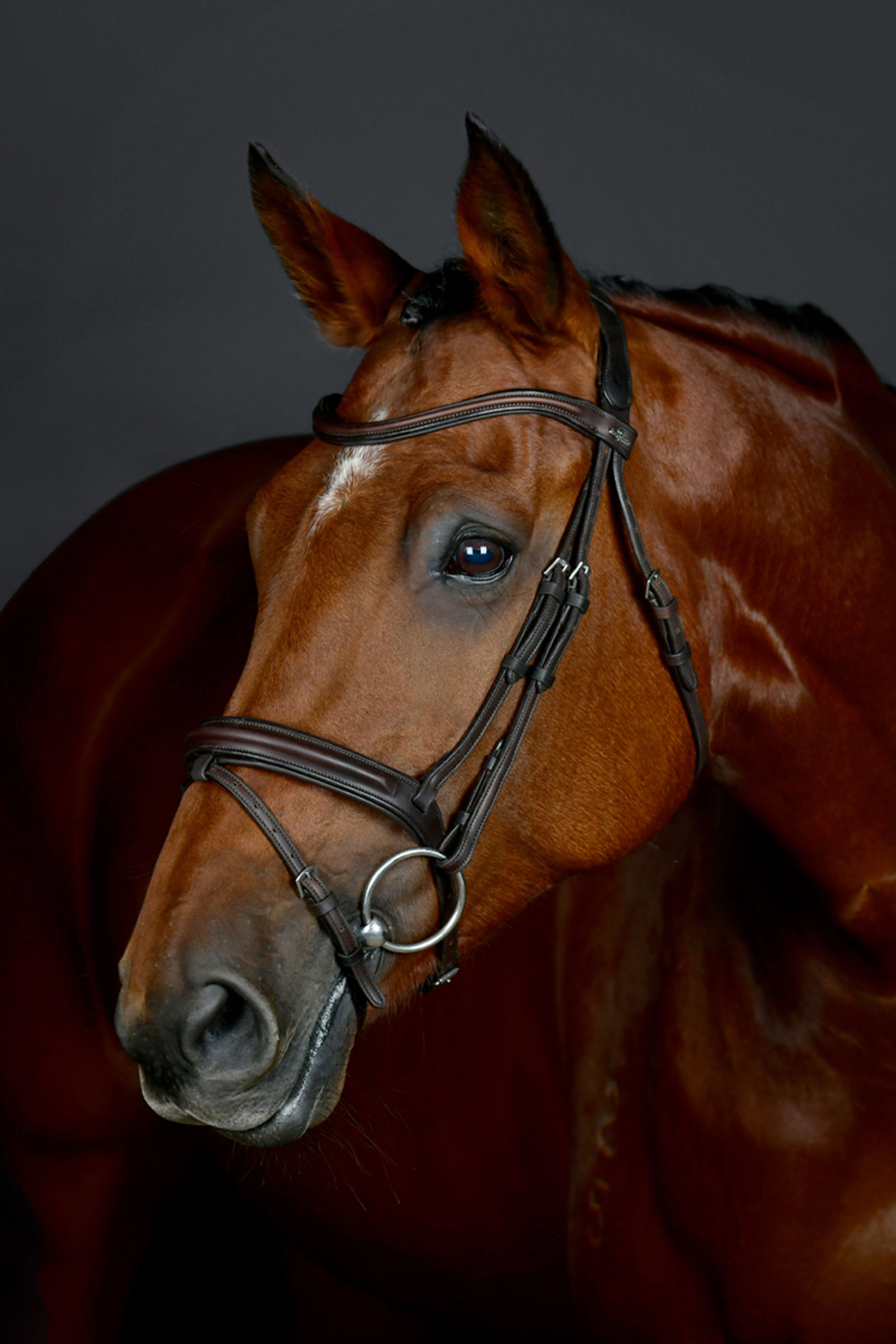 Collegiate Comfitec Opulux klassisk foret trense med kombineret Hannoveransk n&aelig;seb&aring;nd