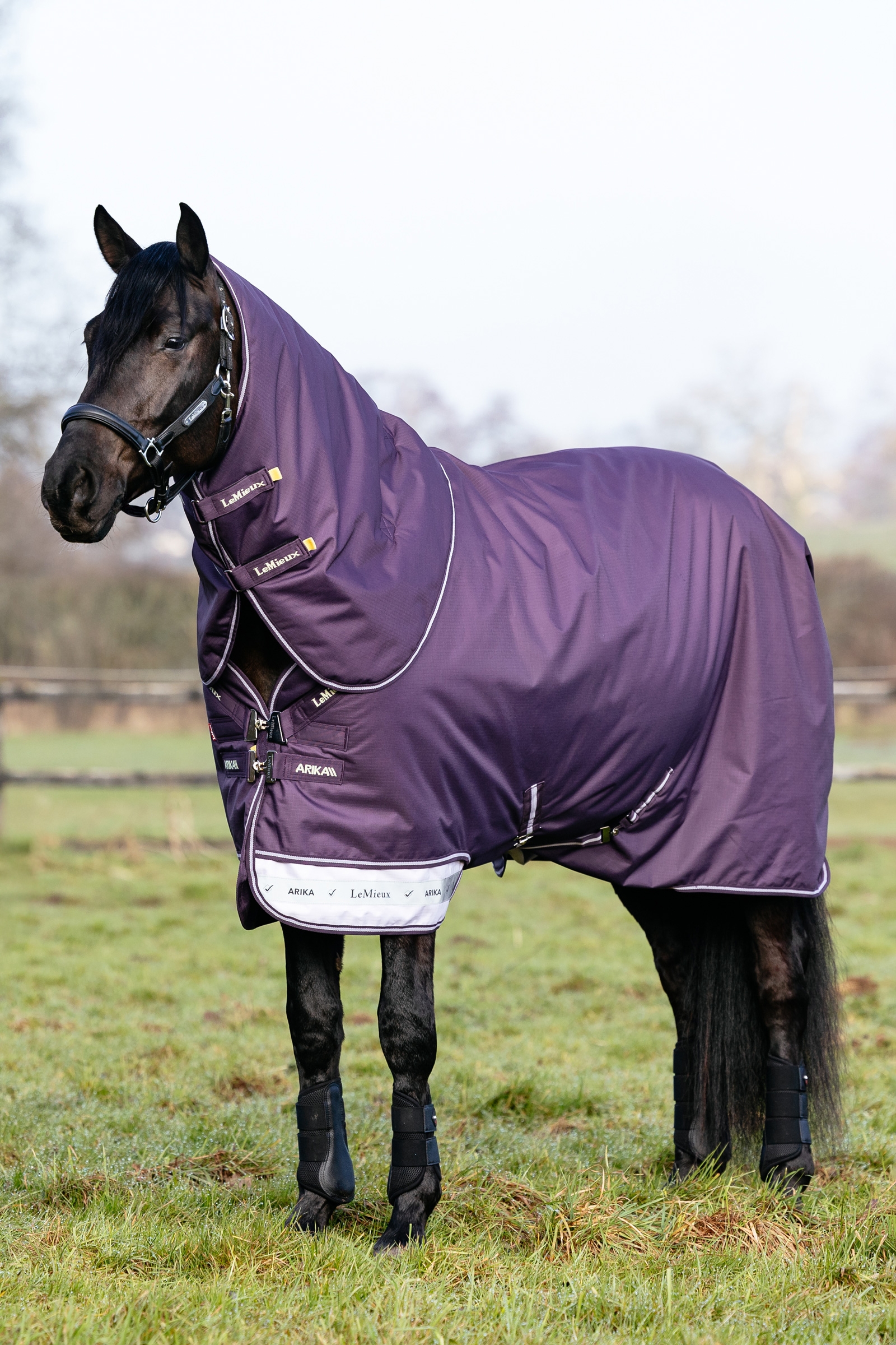 Juniper LeMieux Arika Ripstop Turnout Rug With Detachable Neck, 200 g