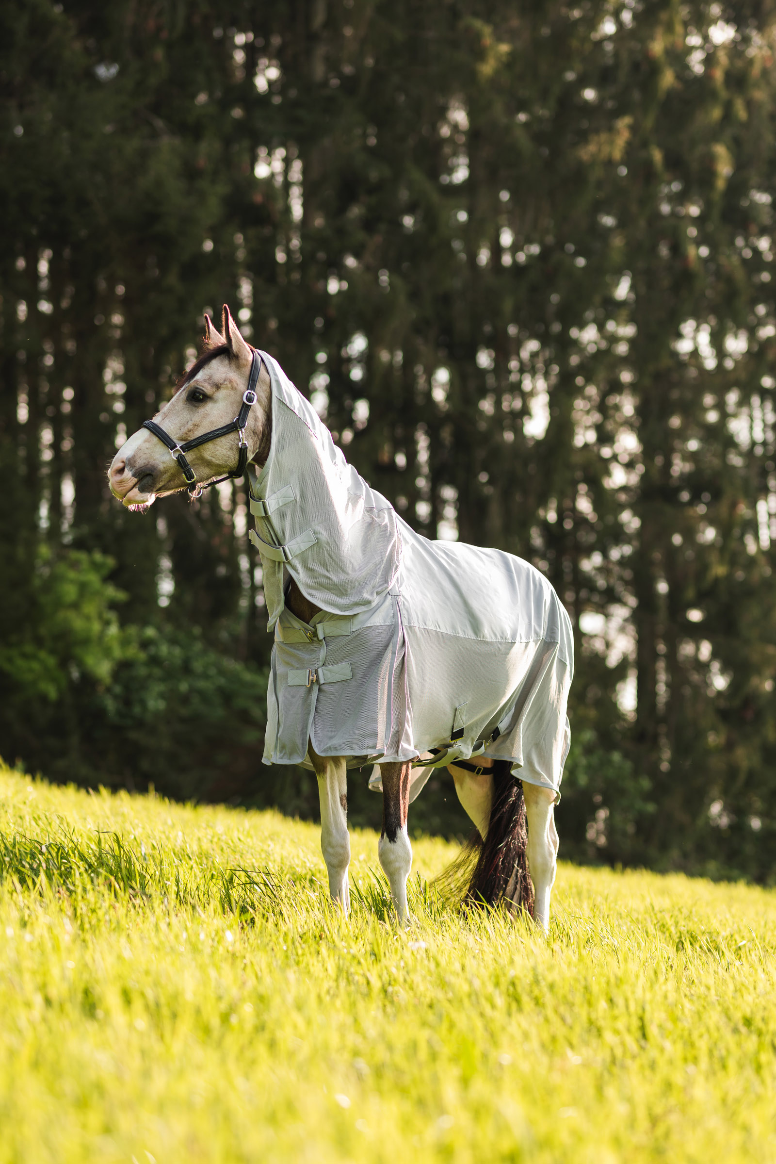 Horze Nevada Combo regn/insektdækken